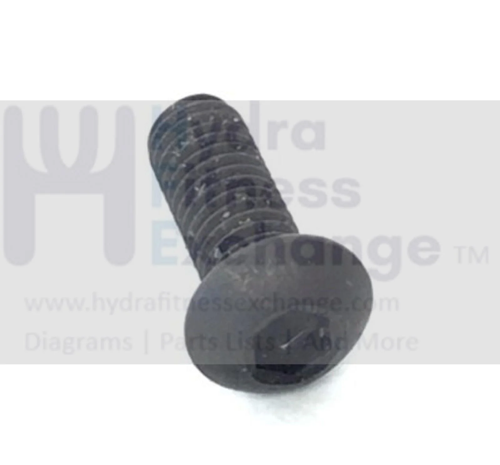 Proform Freemotion Gold's Gym Freespirit Treadmill Screw M6 - 1.0 X 16mm 208581