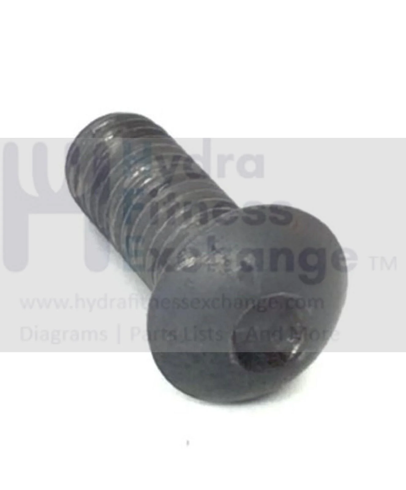 ProForm FreeMotion HealthRider Treadmill Upright Bolt M10 - 1.5 X 25mm 013438