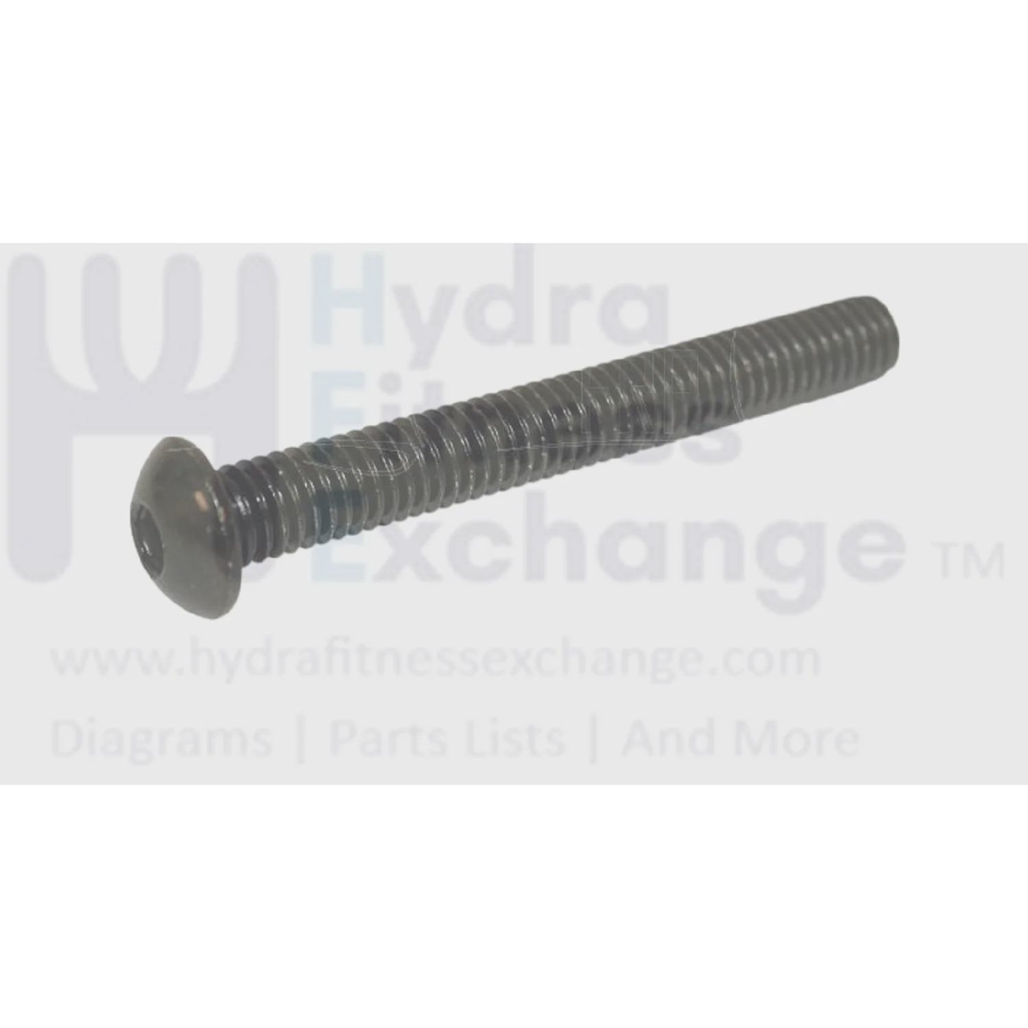 Proform Freemotion Icon Health Rider Weider Weslo Nordictrack Reebok Strength System Button Head Socket Screw M10 x 75mm 208580