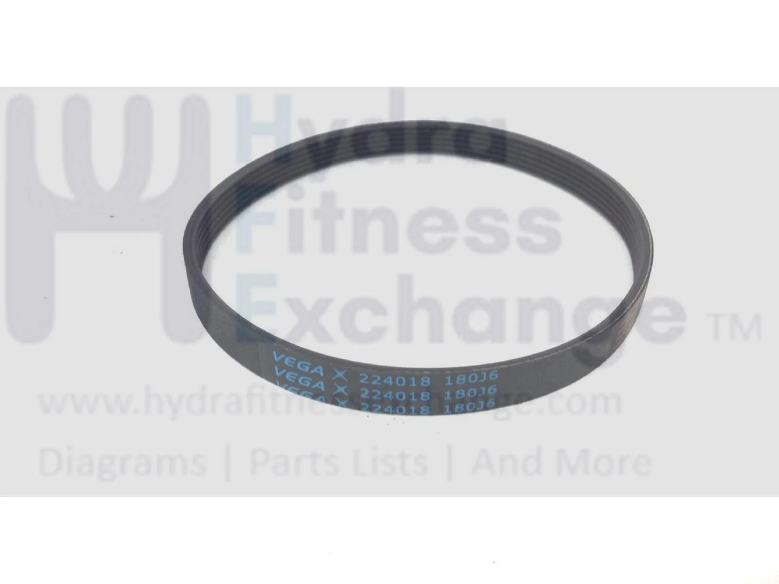 ProForm Gold's Gym Treadmill Motor Drive Belt 17" 392549 - Image 2