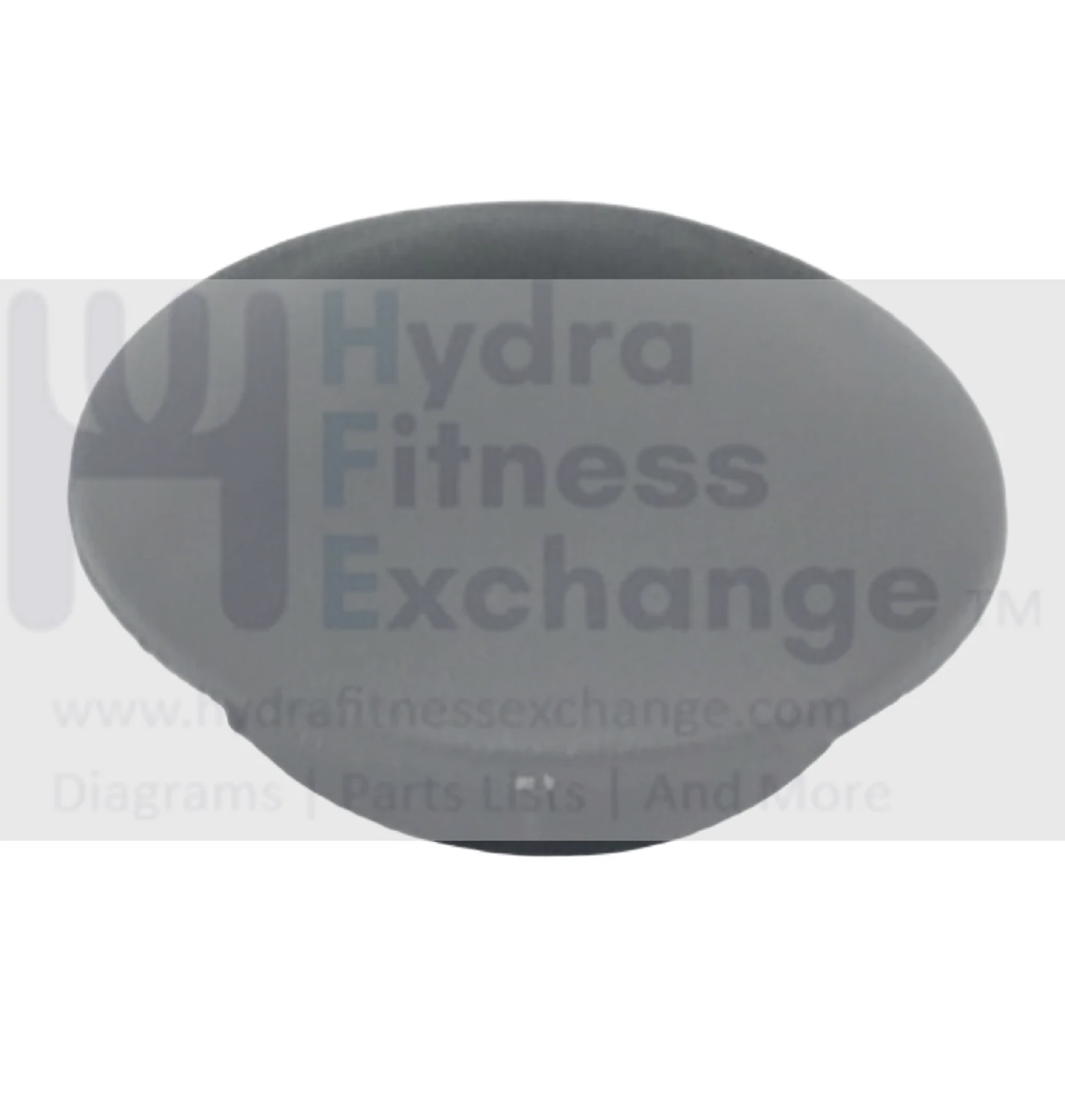 Proform Gold's Gym Weslo Icon Elliptical Round Endcap 261589