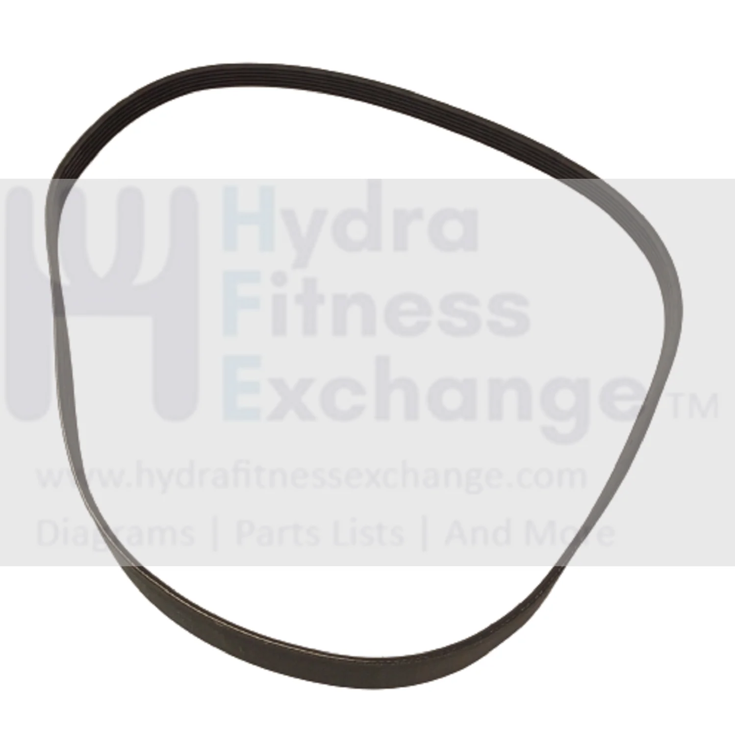 Used Proform Health Rider Gold's Gym Upright Bike Poly-v Drive Belt 39" 6ribs 176559 PJ991 Replacement - Image 2