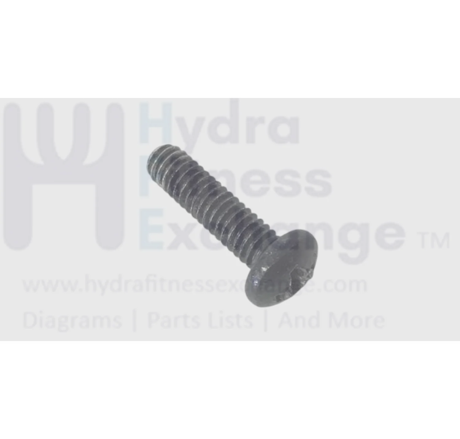 Proform Nordictrack Icon Health Rider Gold's Gym Freemotion Epic Treadmill Screw 8 x 5/8" 276104