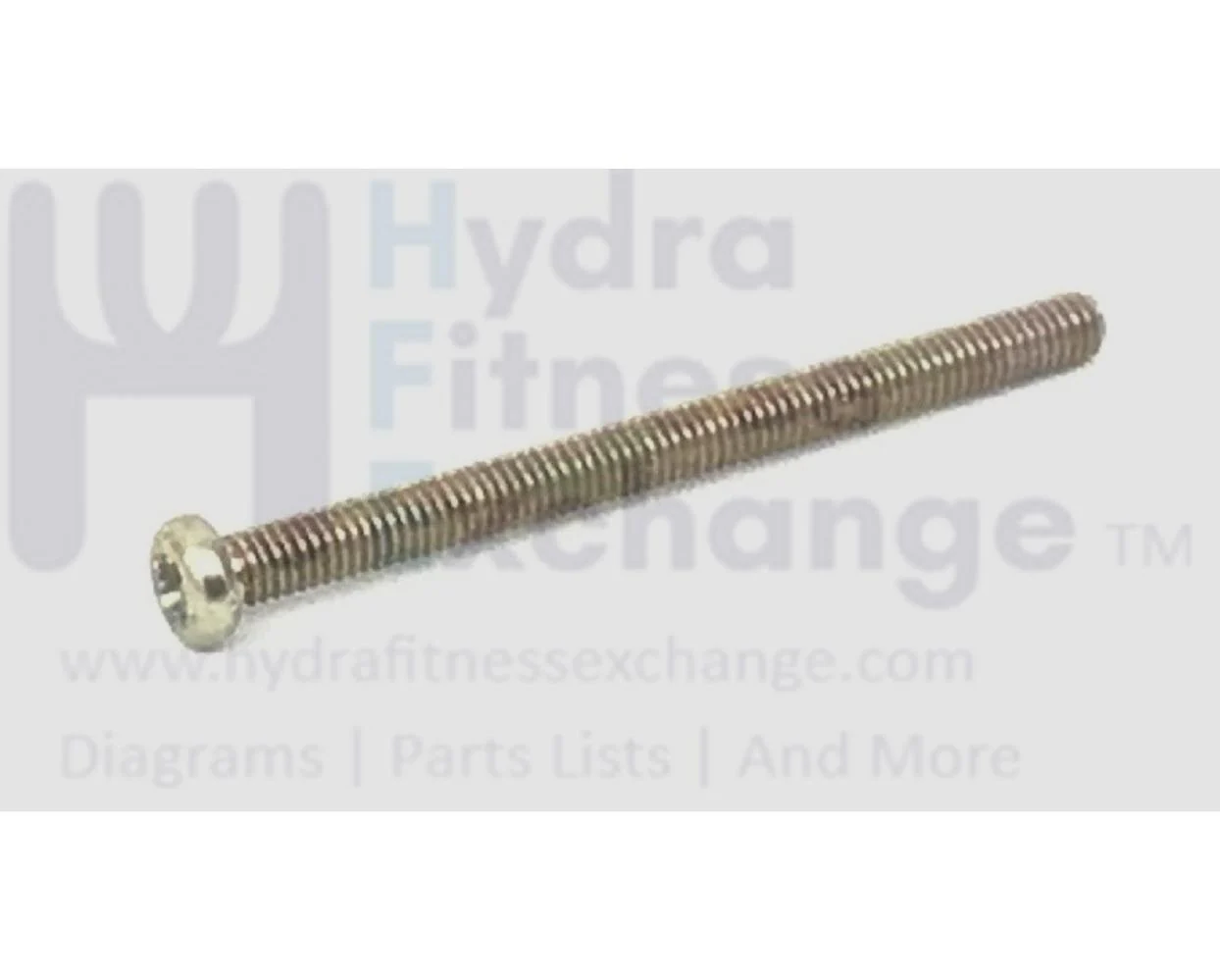 Proform PFEL62919.1 Elliptical Phillips Long Screw Bronze Brass Color 31489 - Image 2