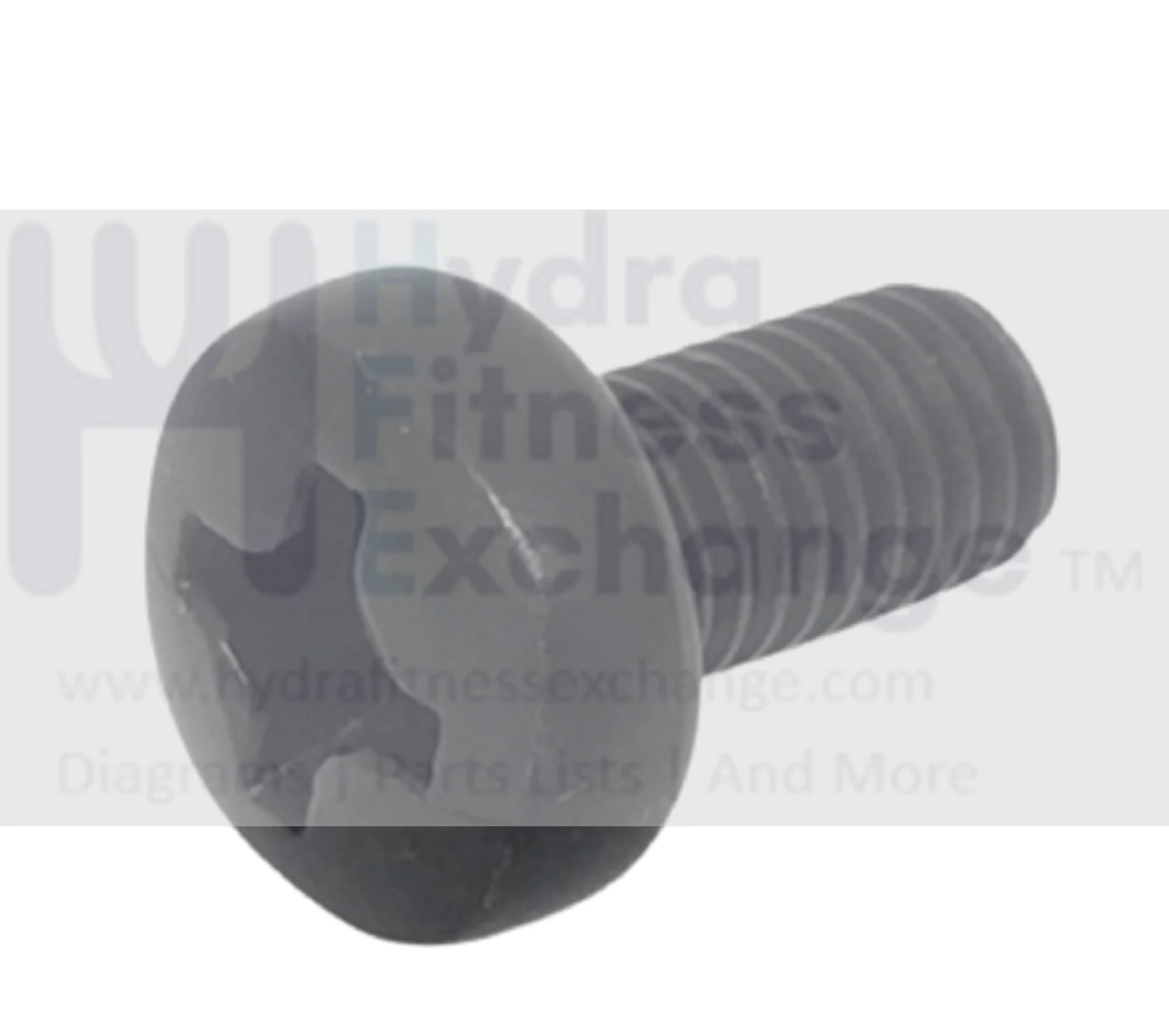 Proform Stationary Bike Tapped Head Phillip Screw M8x16mm 351556