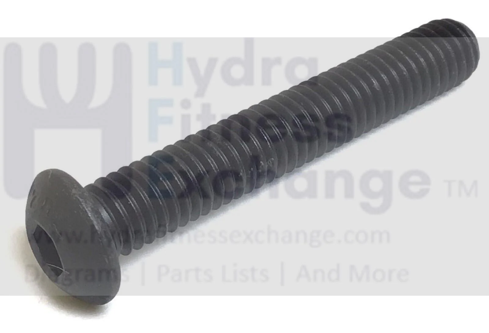 Proform Weslo 480 8.25 MomentumCT 5.8 Elliptical Self Tap Screw M5 X 25mm 276124