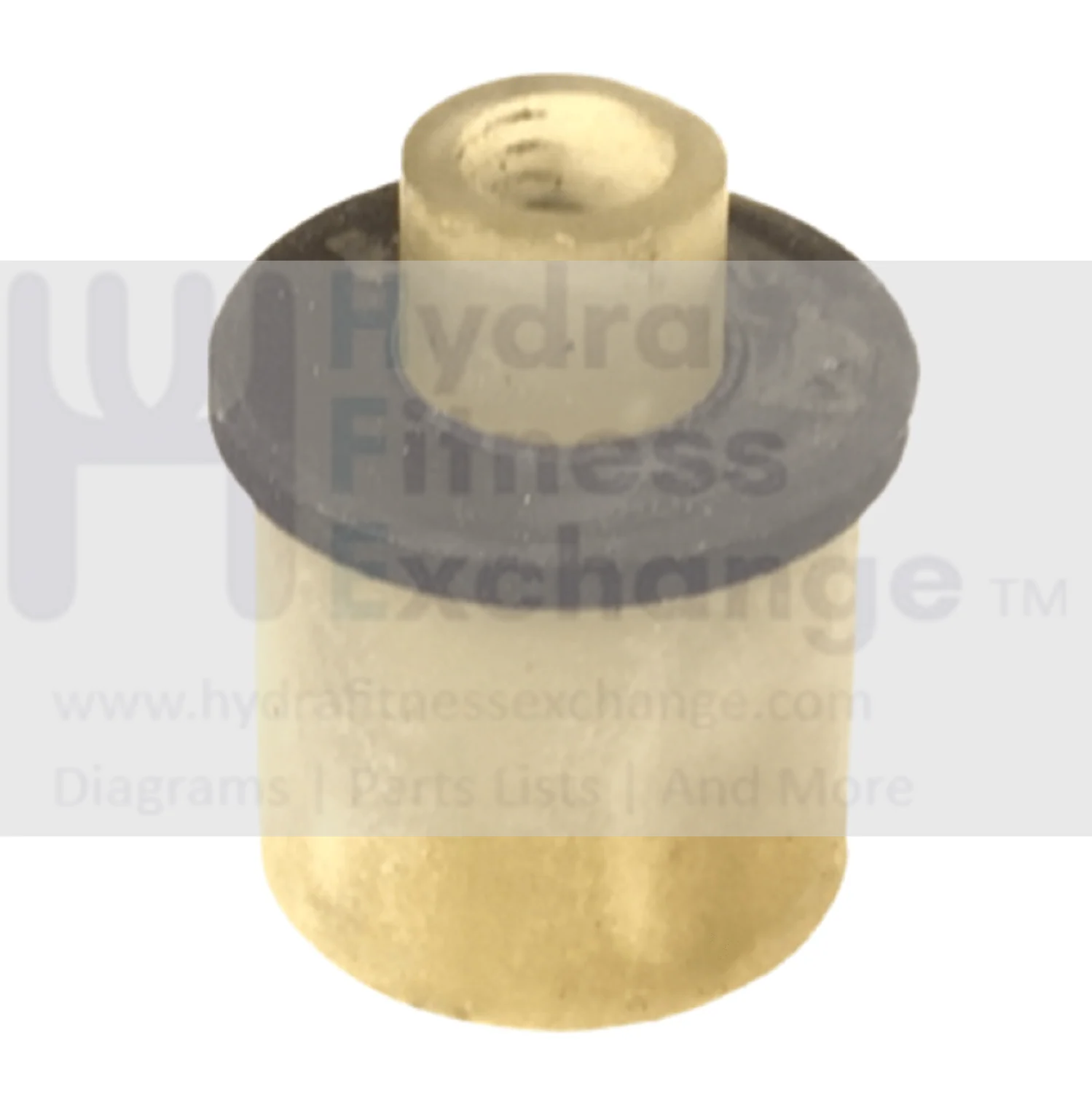 Quinton Medtrack CR60 by Nautilus Treadmill Cushion Bushing