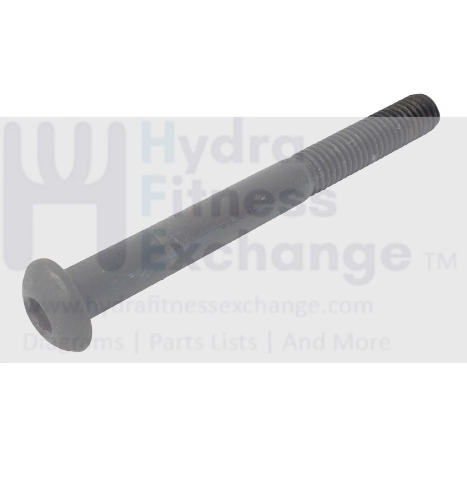 Red Zone T55i Treadmill Button Head Screw 3-8-16-3.75 Inch
