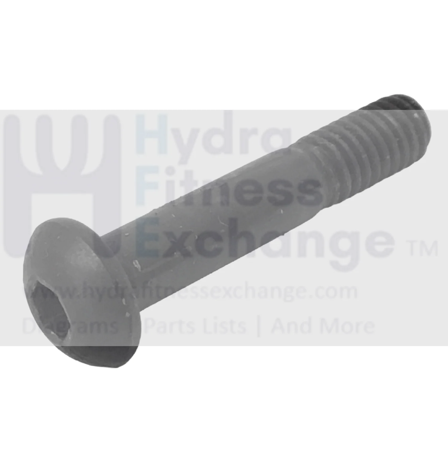 Red Zone T55i Treadmill Button Head Screw 5-16-18-1.65 Inch - Image 2