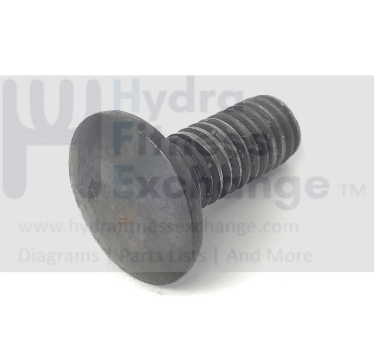 Red Zone T55i Treadmill Carriage Bolt 57896 - Image 2