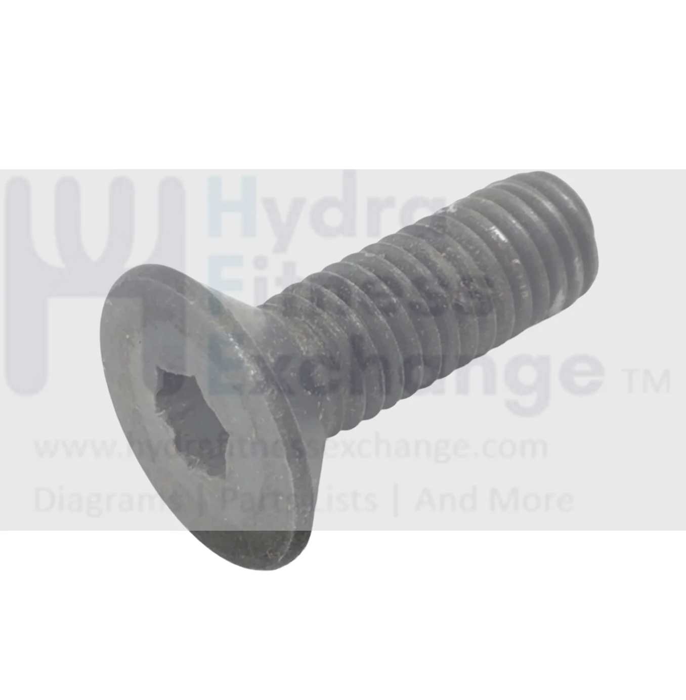 Red Zone T55i Treadmill Flat Head Screw M8 - 1.25 x 20mm 59014