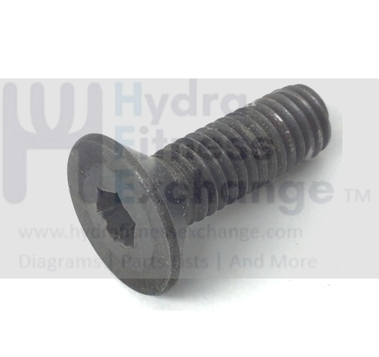 Red Zone T55i Treadmill Flat Head Screw M8 - 1.25 x 20mm 59014 - Image 2