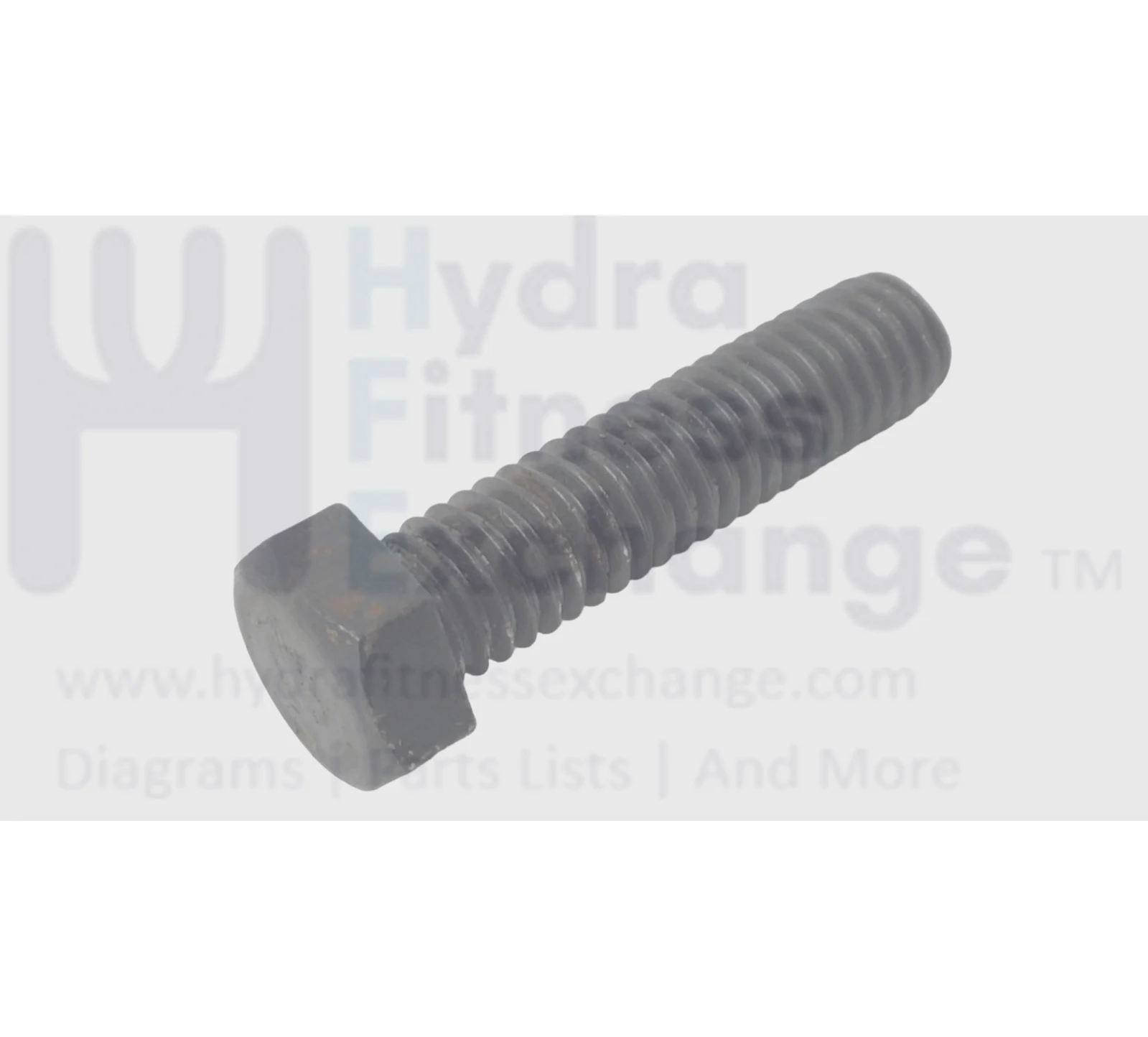 Red Zone T55i Treadmill Hex Head Bolt 3 - 8 x 16/1.50" 57310