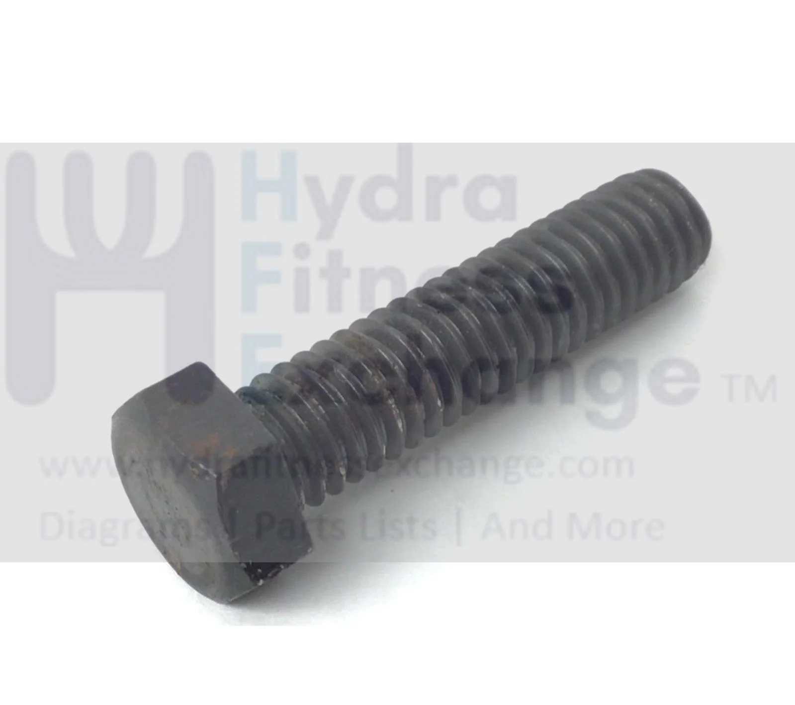 Red Zone T55i Treadmill Hex Head Bolt 3 - 8 x 16/1.50" 57310 - Image 2