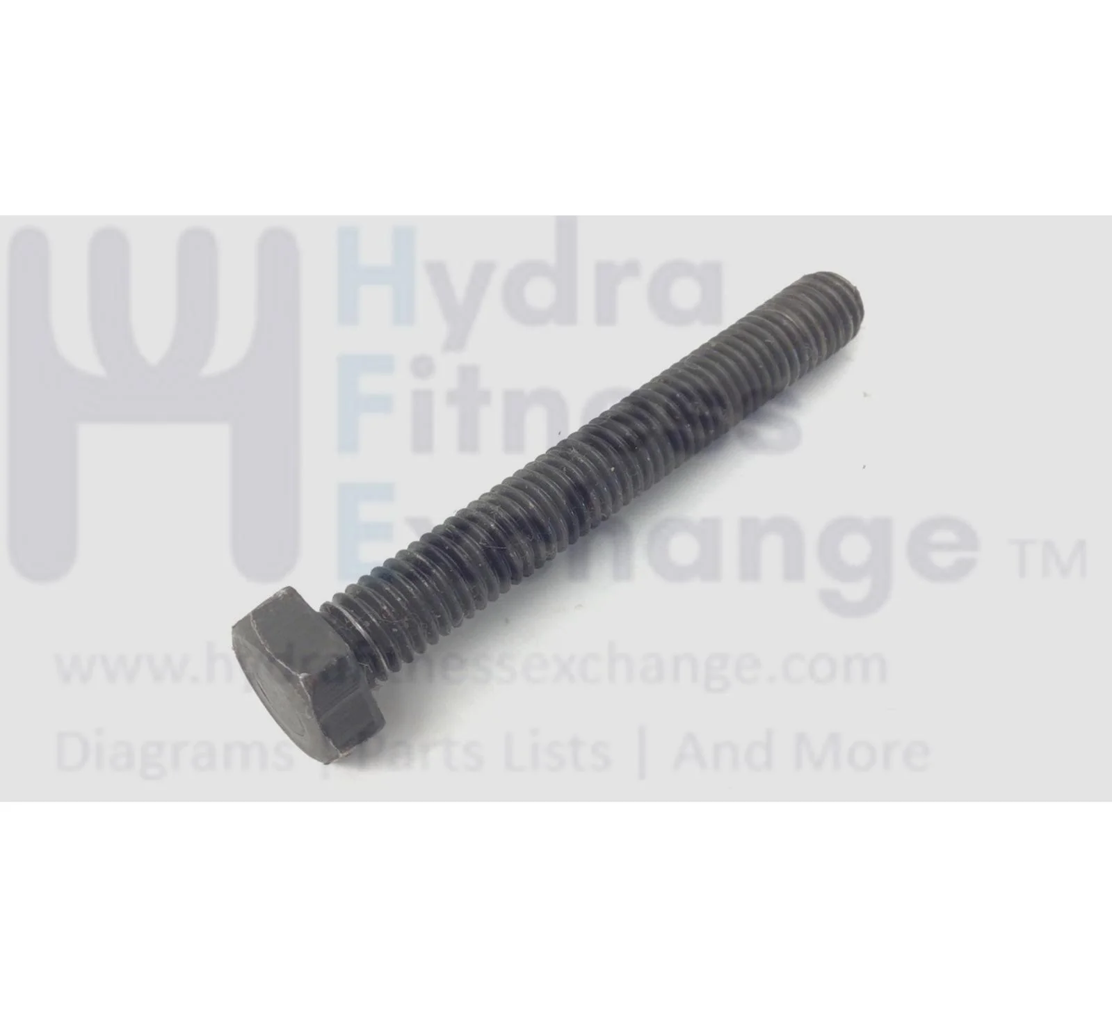 Red Zone T55i Treadmill Hex Head Bolt M8 - 1.25 x 60mm 58940 - Image 2