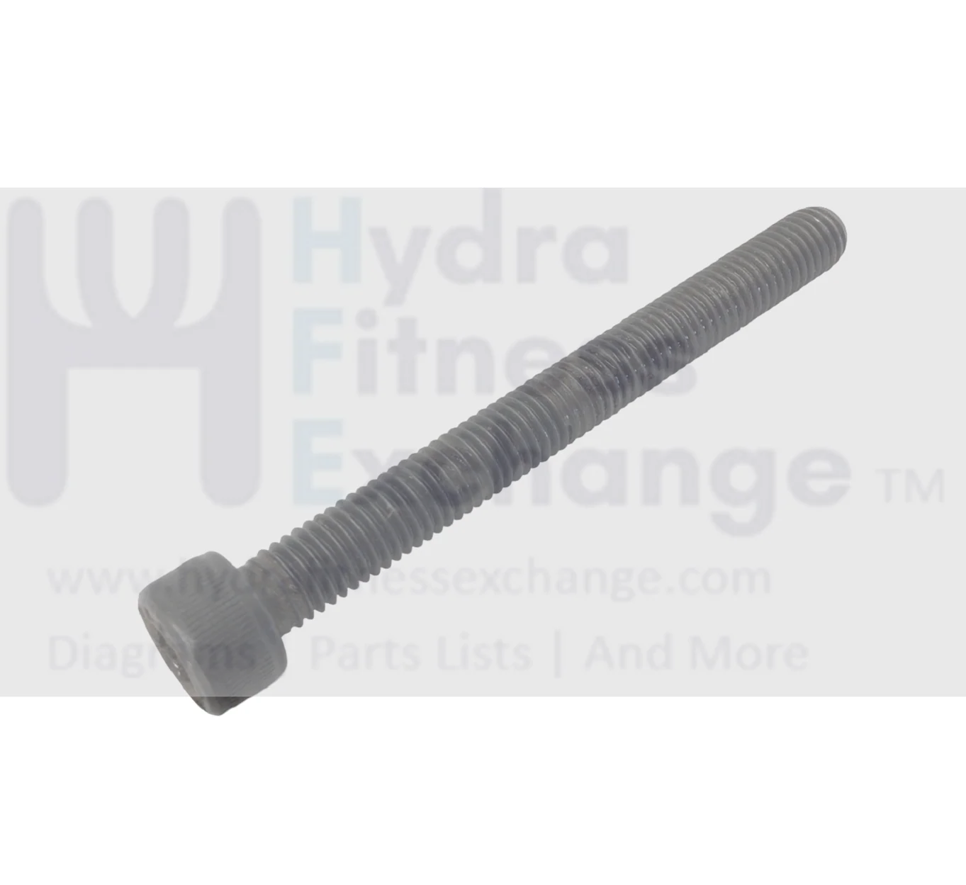 Red Zone T55i Treadmill Round Head Hex Socket Screw M8 - 1.25 x 80mm 58016
