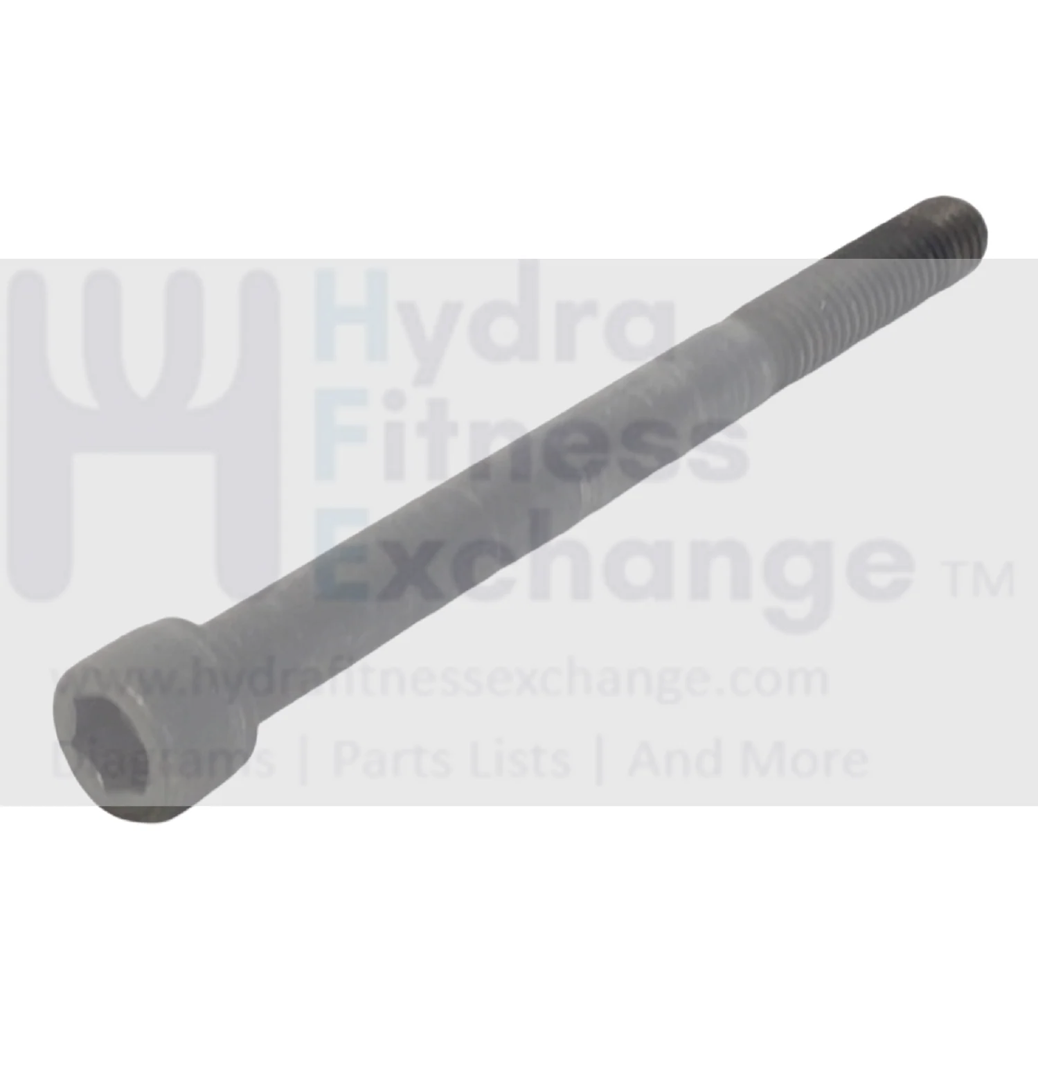 Red Zone T55i Treadmill Round Head Socket Screw Cap 3-8 -16x4.50 Inch - Image 2