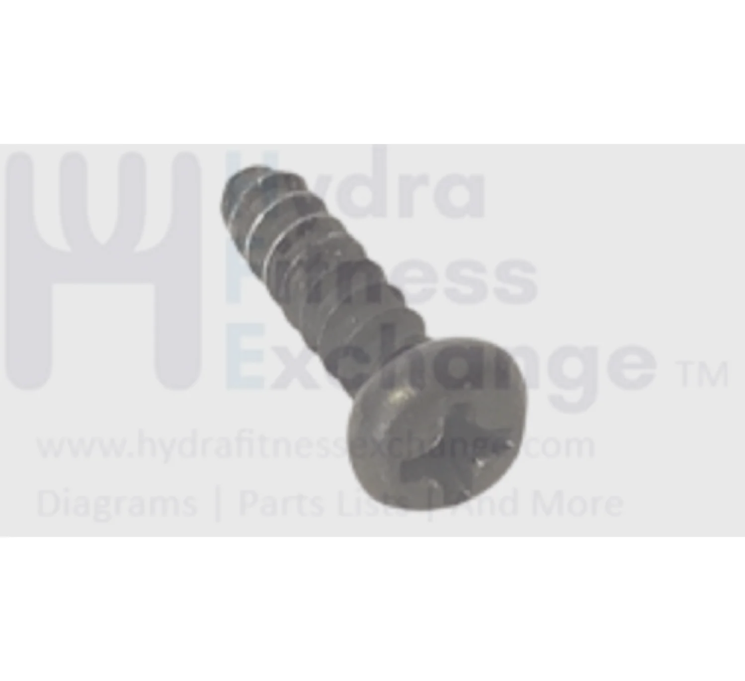 Reebok Proform Nordictrack Icon  Gold's Gym Health Rider Freemotion Miscellaneous Cardio Screw 6 x 1/2" 175284