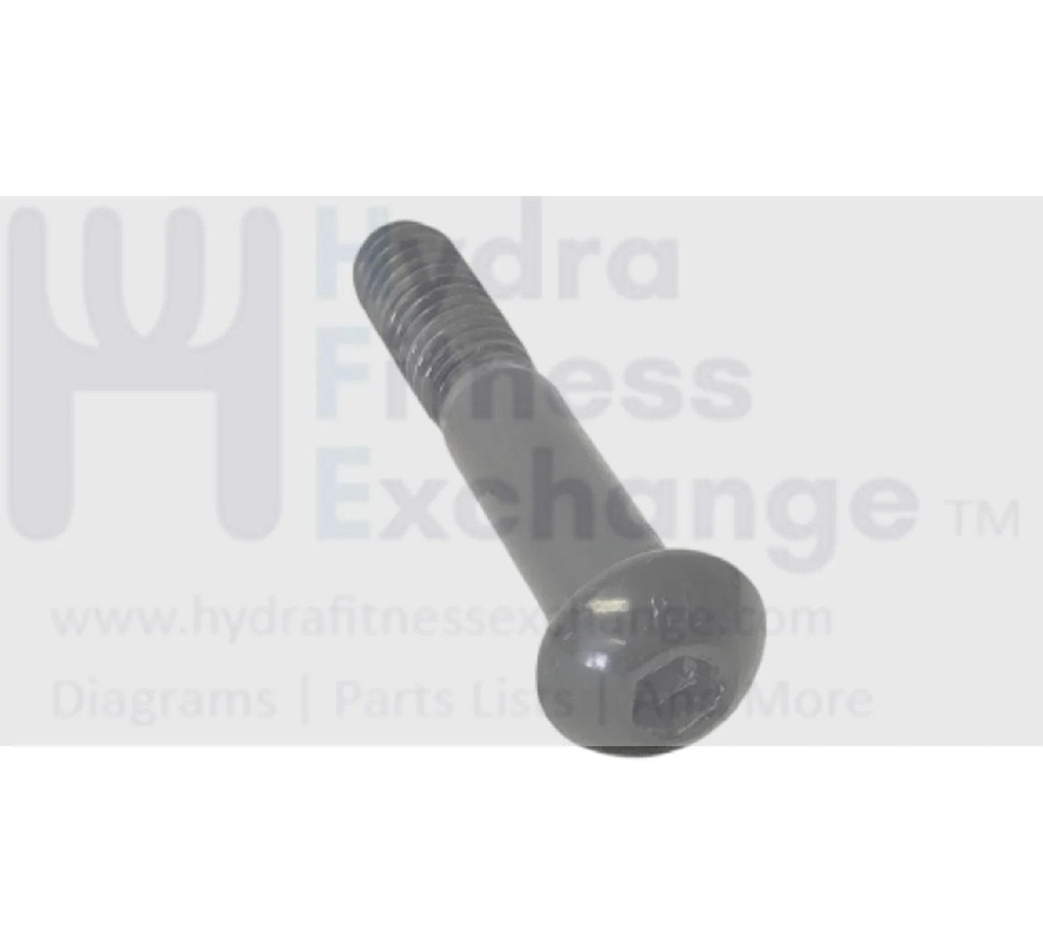 Reebok Proform Nordictrack Icon Health Rider Gold's Gym Freemotion Miscellaneous Cardio Screw 5/16" x 1 -3/4" 258536