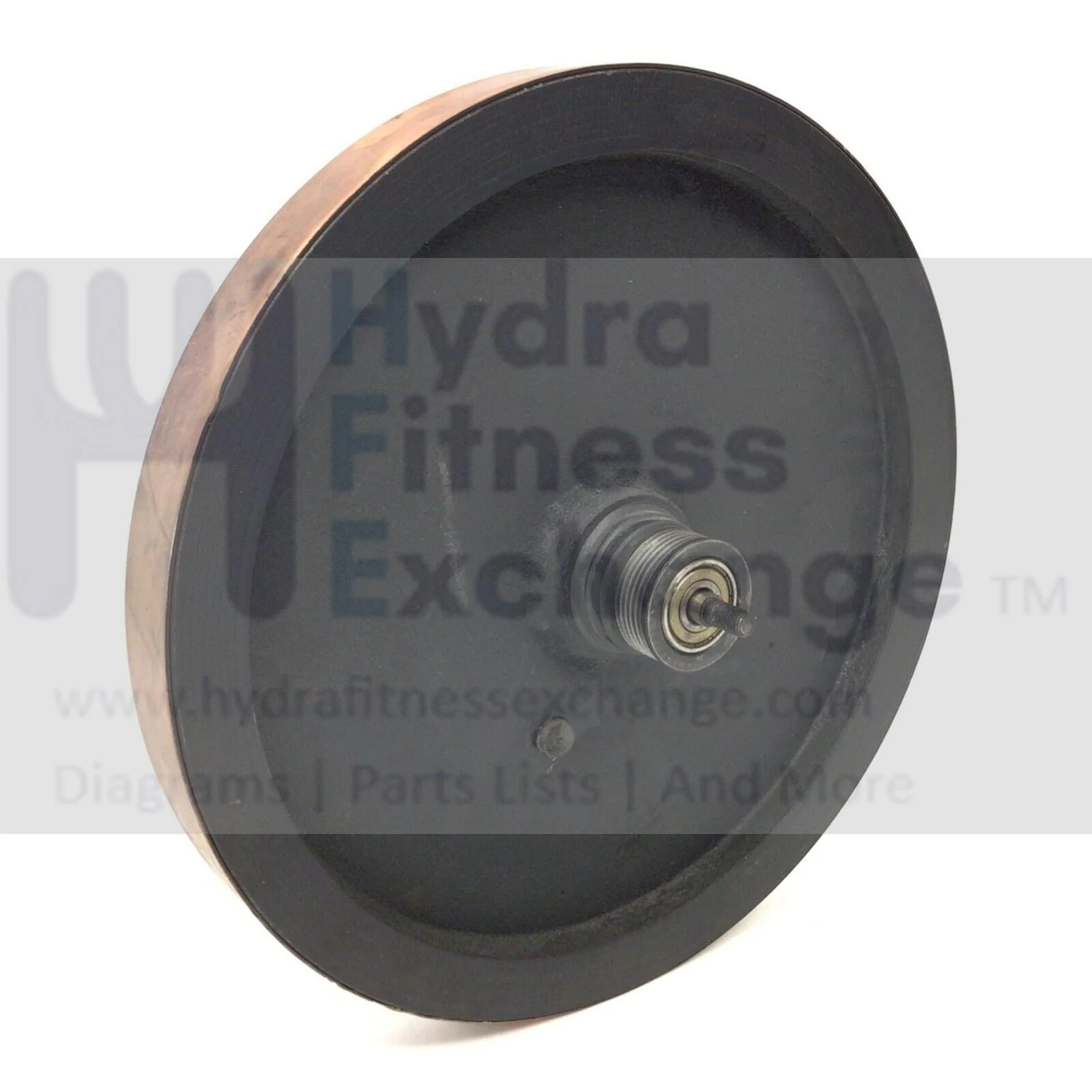Schwinn 411 - 100734 Elliptical Magnetic Resistance Eddy Brake Flywheel