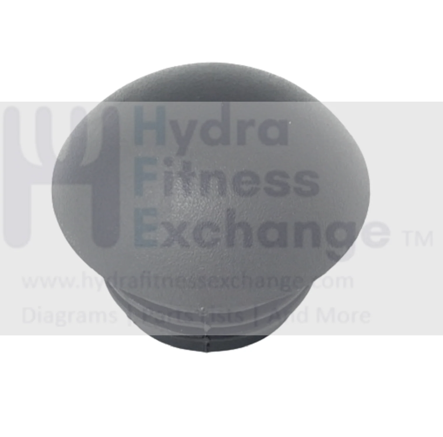 Schwinn 450 - 100217 Elliptical Handlebar End Cap