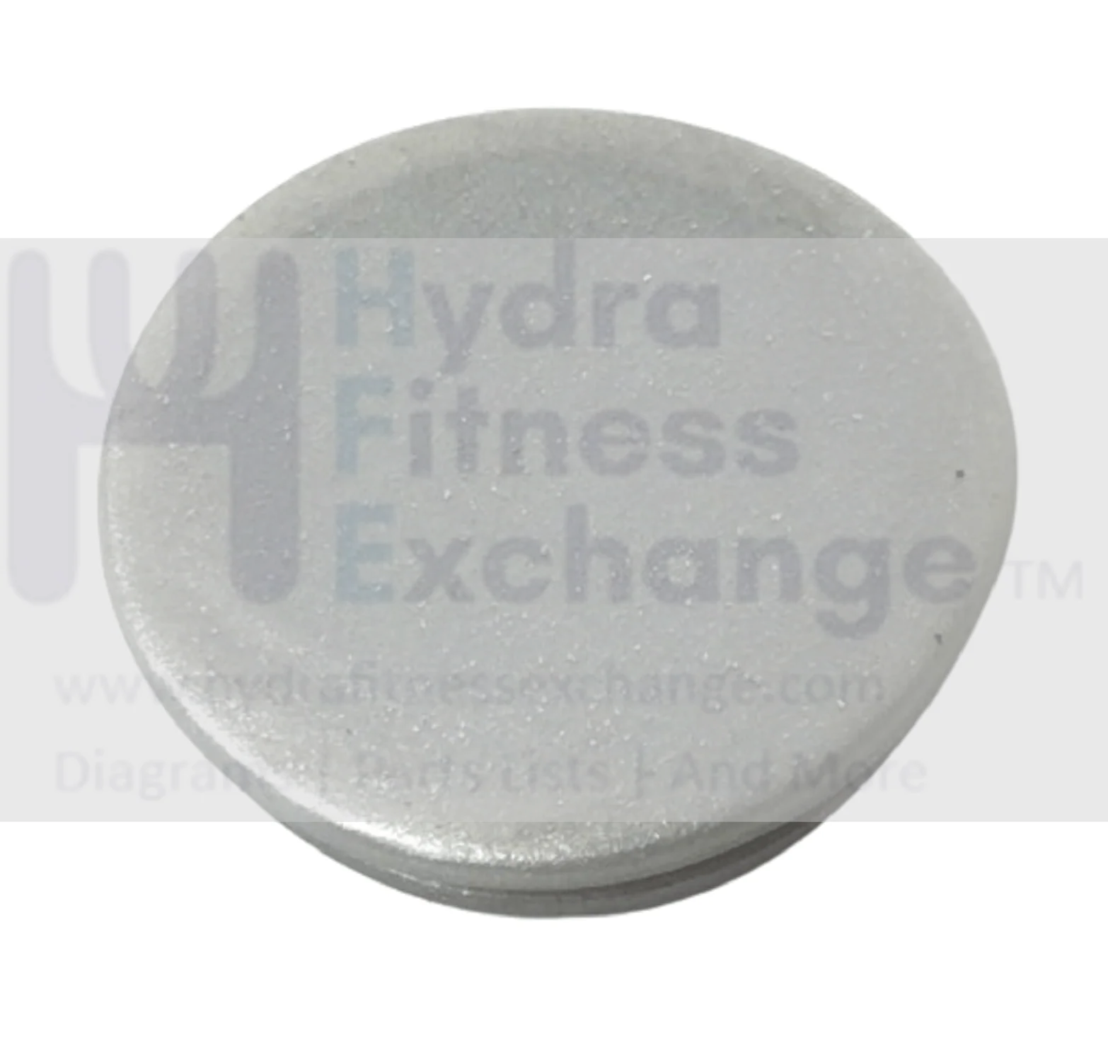 Schwinn 450 - 100217 Elliptical Pulse Grip Endcap