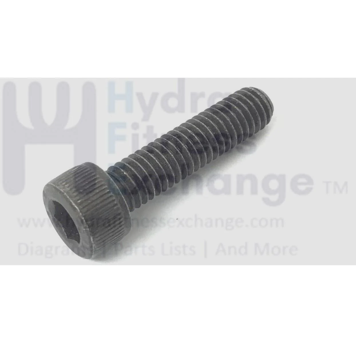 Schwinn AD7 - 100625 Stationary Bike Hex Head Socket Screw M6 - 1.0 x 25 8007547