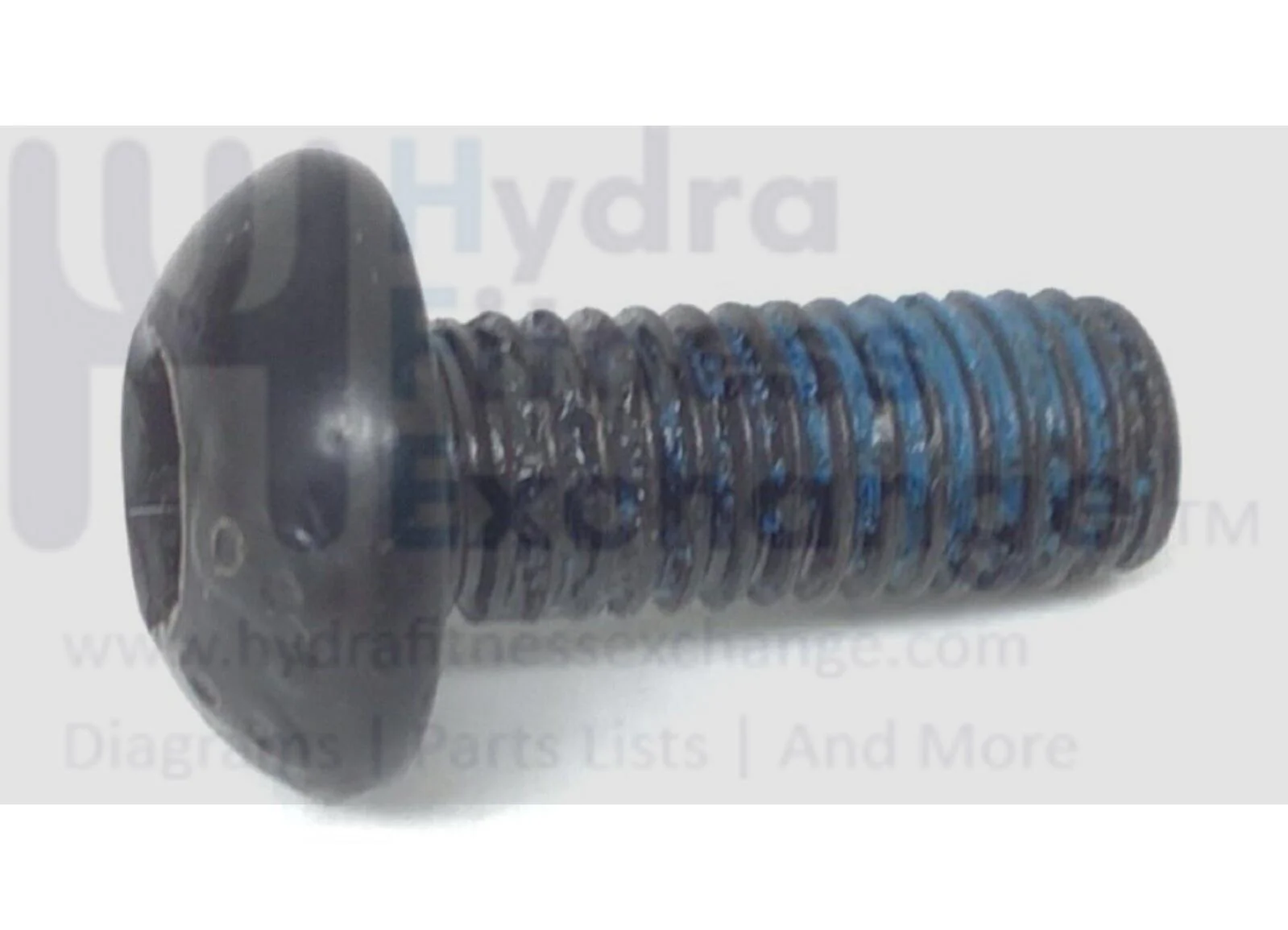 Schwinn Fitness 430-100516 Elliptical Button Head Wheel Screw 1-1/4"x 0.80"x 2mm