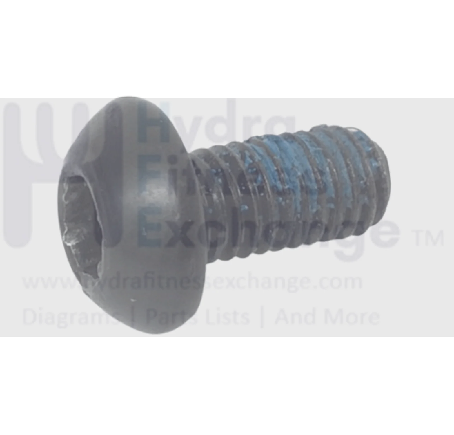 Schwinn Fitness 430 - 100516 Elliptical Screw 1-1/4 inch x 0.60 inch x 5mm