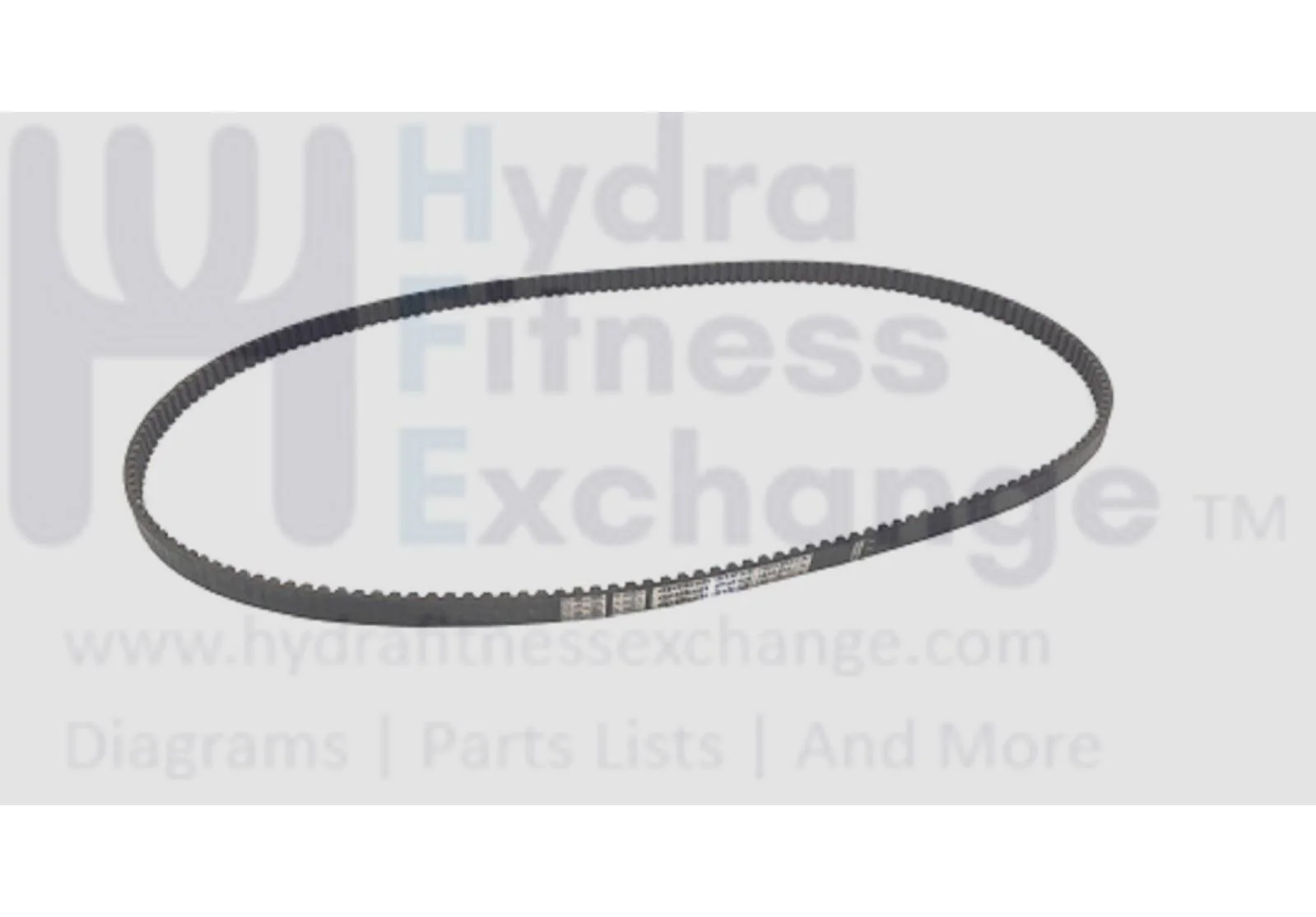 Used Schwinn Fitness Windjammer Rower Cogged Drive Belt 57" MFR-1440 8m-A 93002