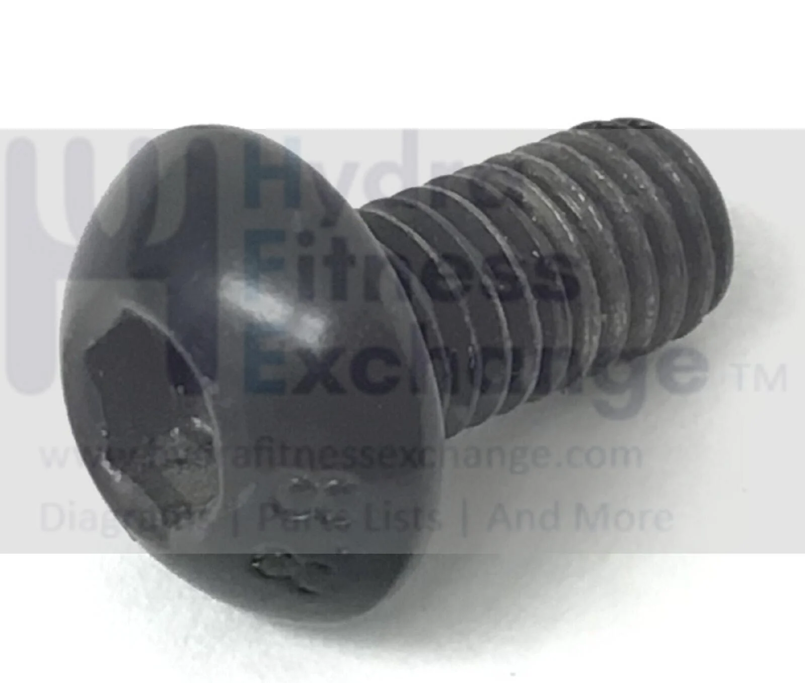 Schwinn Journey 4.0 - 100367 Elliptical Screw 8/1.25"x16.5 sew-5mm-31