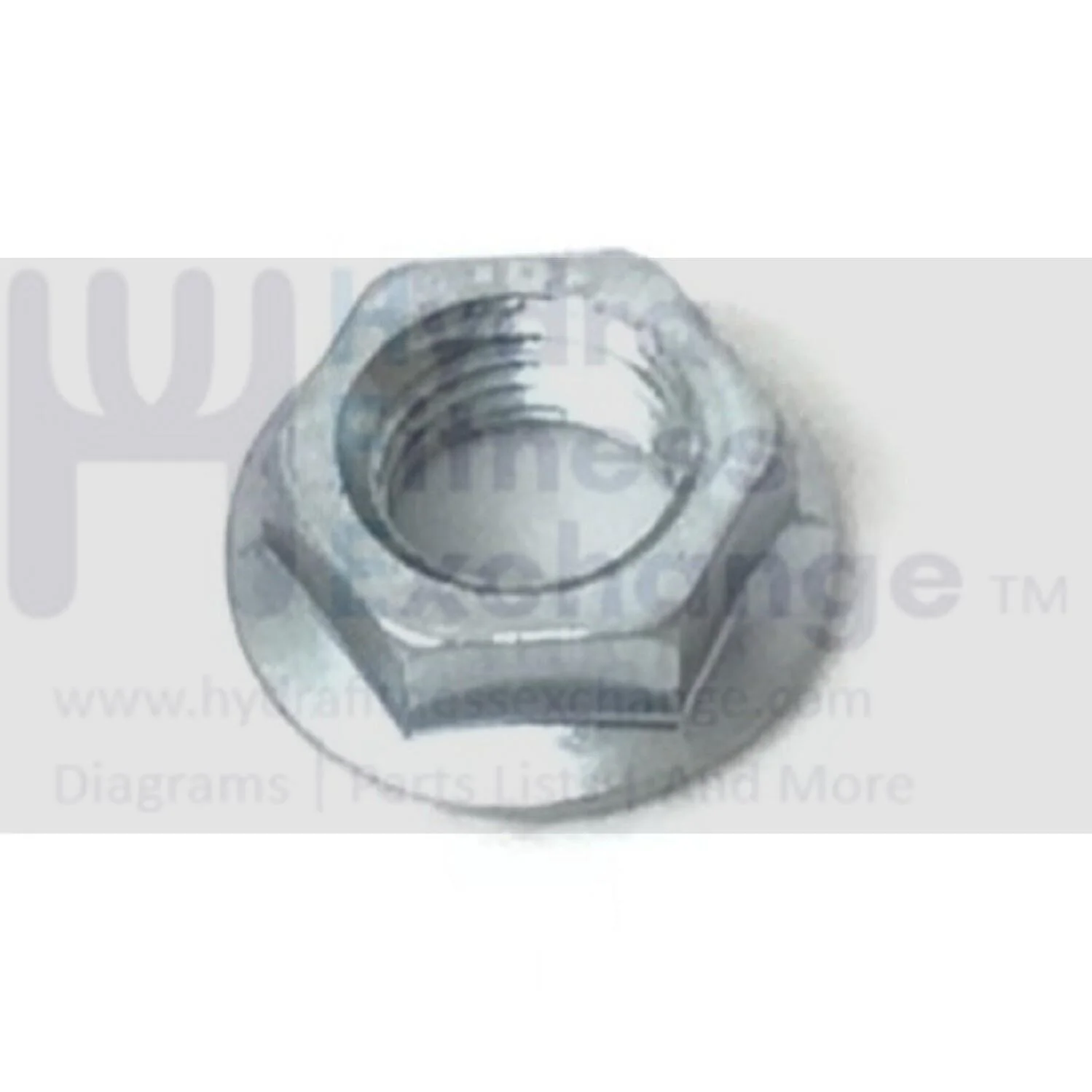 Schwinn Universal Elliptical Hex Flange Crank Nut 004-3751