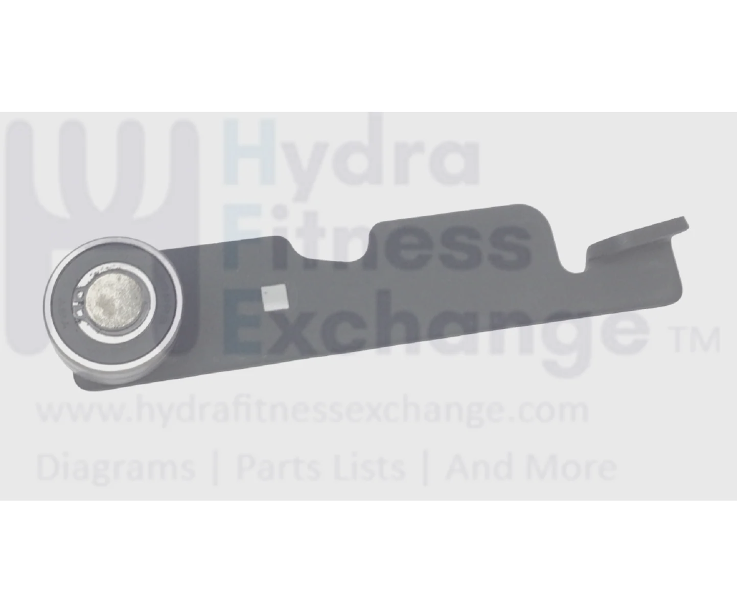 Sole Fitness E35 Elliptical Belt Tensioner Idler Pulley - Image 2