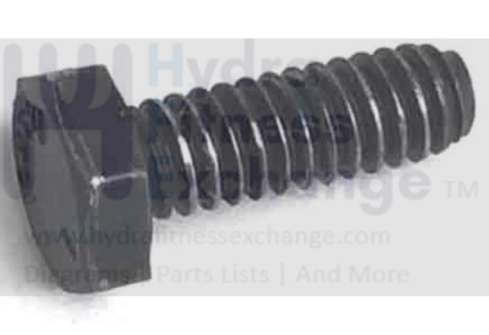 Sole Fitness E55 - UE55 555086 Elliptical Bolt 1/4"-20x0.75" - Image 2