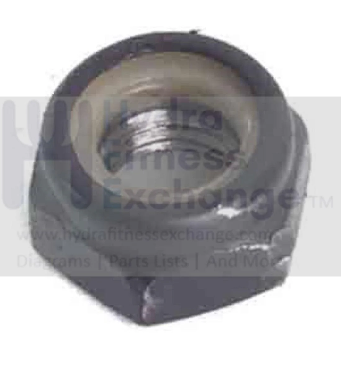 Sole Fitness E55 - UE55 555086 Elliptical Nut M8-1.25" UE55-NM8-1.25 - Image 2