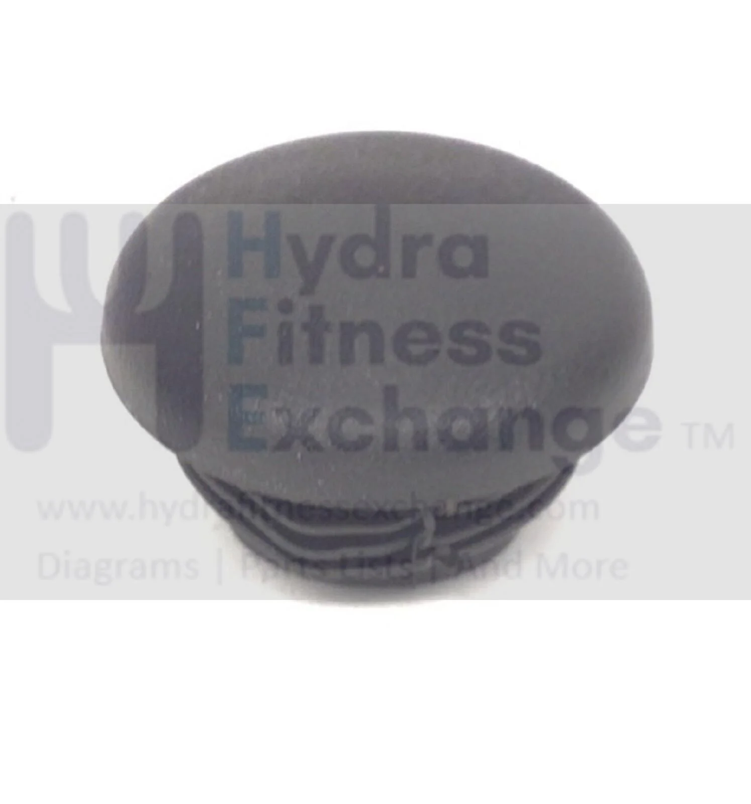 Used Sole Spirit Xterra Fitness Elliptical Handlebar Plug End Cap P060253-A1