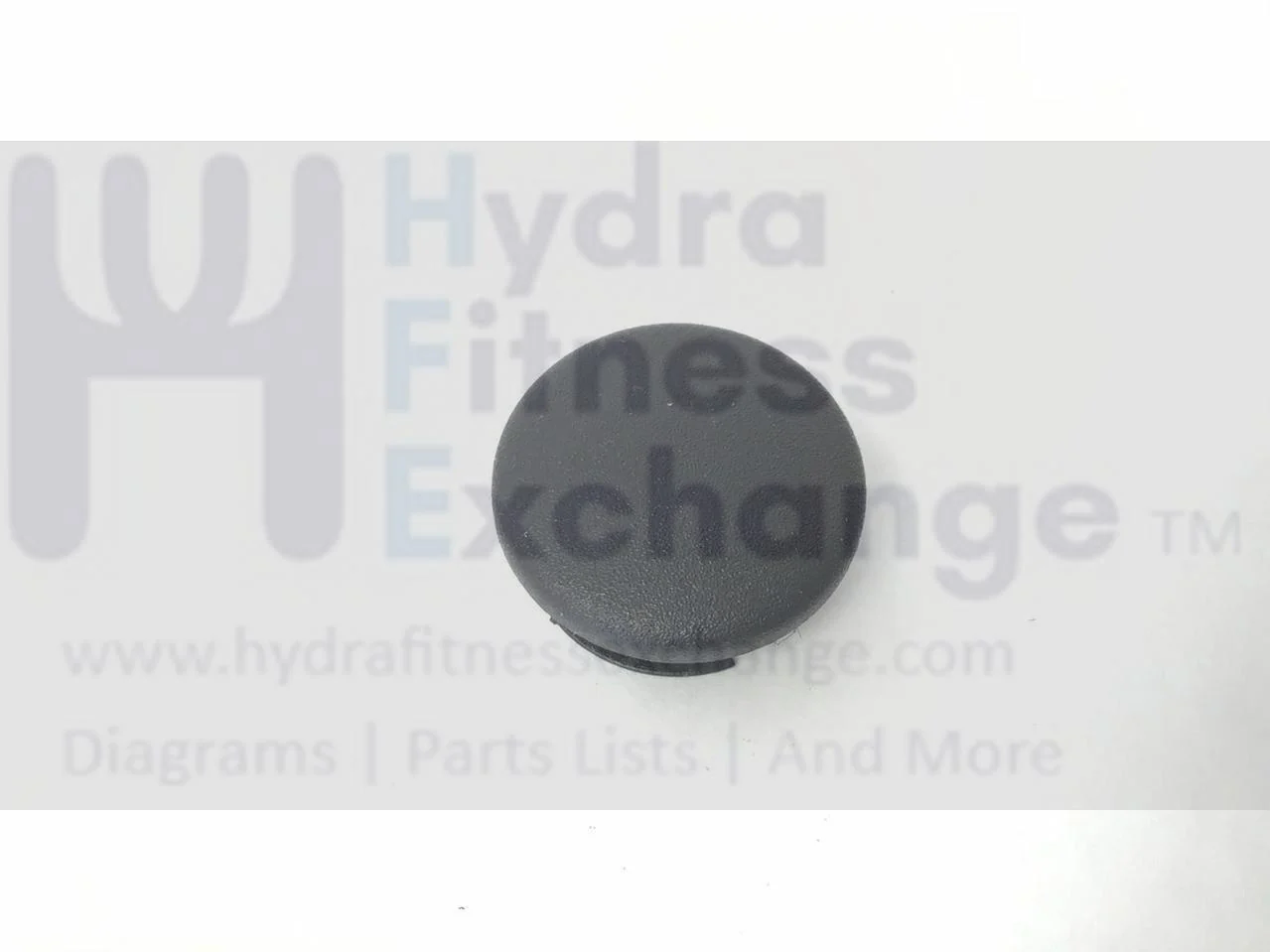 Sole Spirit Xterra Fitness Elliptical Handlebar Plug End Cap P060253-A1 - Image 2