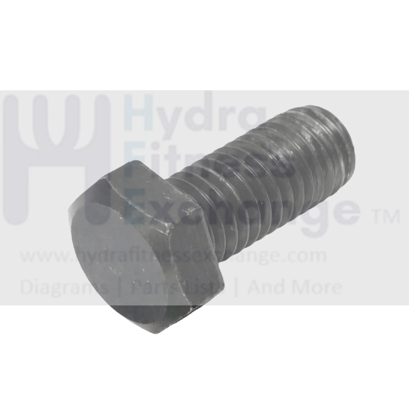Sole Xterra Fitness Treadmill Head Hex Bolt 3 - 8 x 16/3-4 J011002-Y3