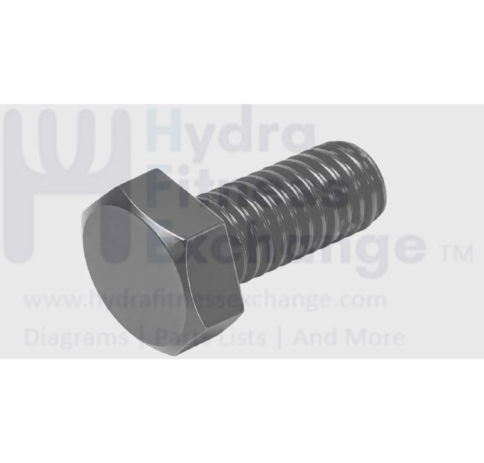 Sole Xterra Fitness Treadmill Head Hex Bolt 5 - 16 x 18/1 - 2" J013002-Y3