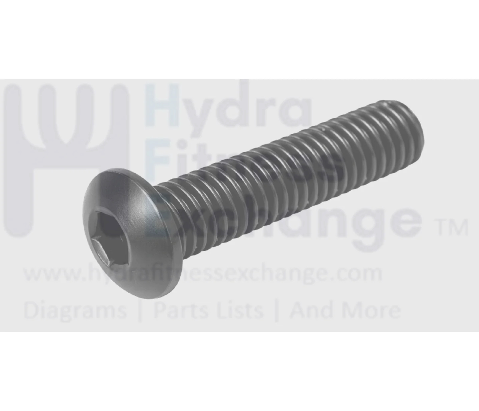 Sole Xterra Fitness Treadmill Hex Socket Button Head Cap Screw 5 - 16 x 18/1"