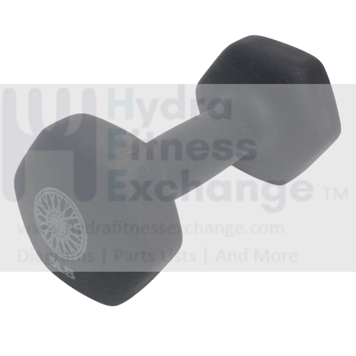 Soulcycle by Stages Stationary Bike Dumbbell Neoprene 5lb 7907442