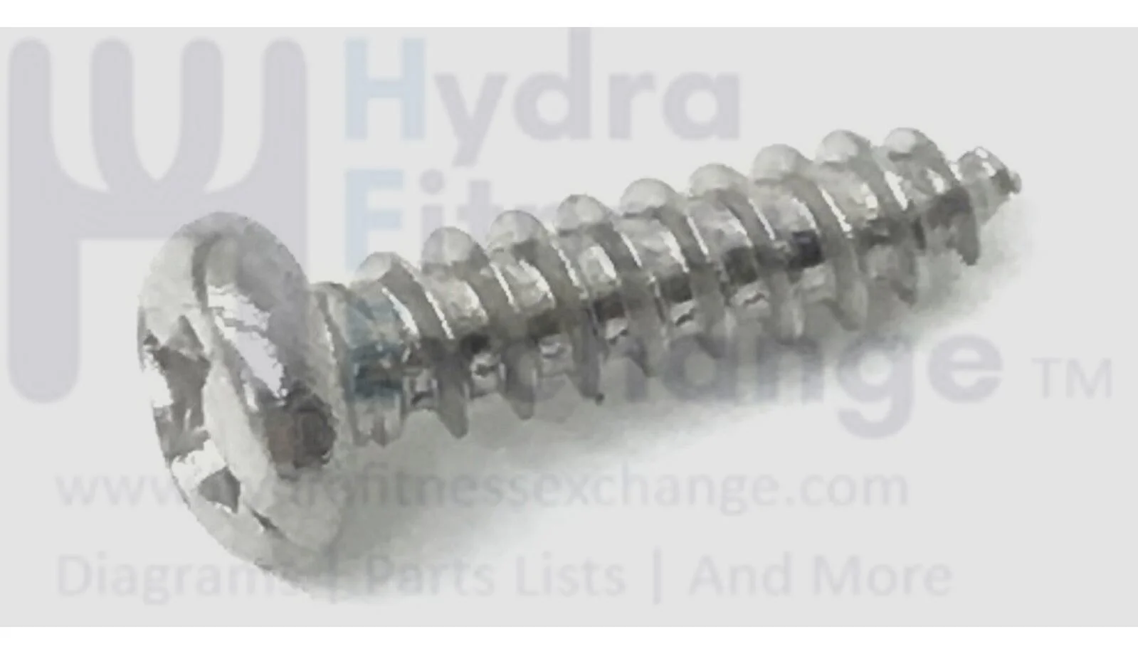 Spirit Sole Esprit by Spirit Xterra Fitness Treadmill Tapping Screw J517004-Z4