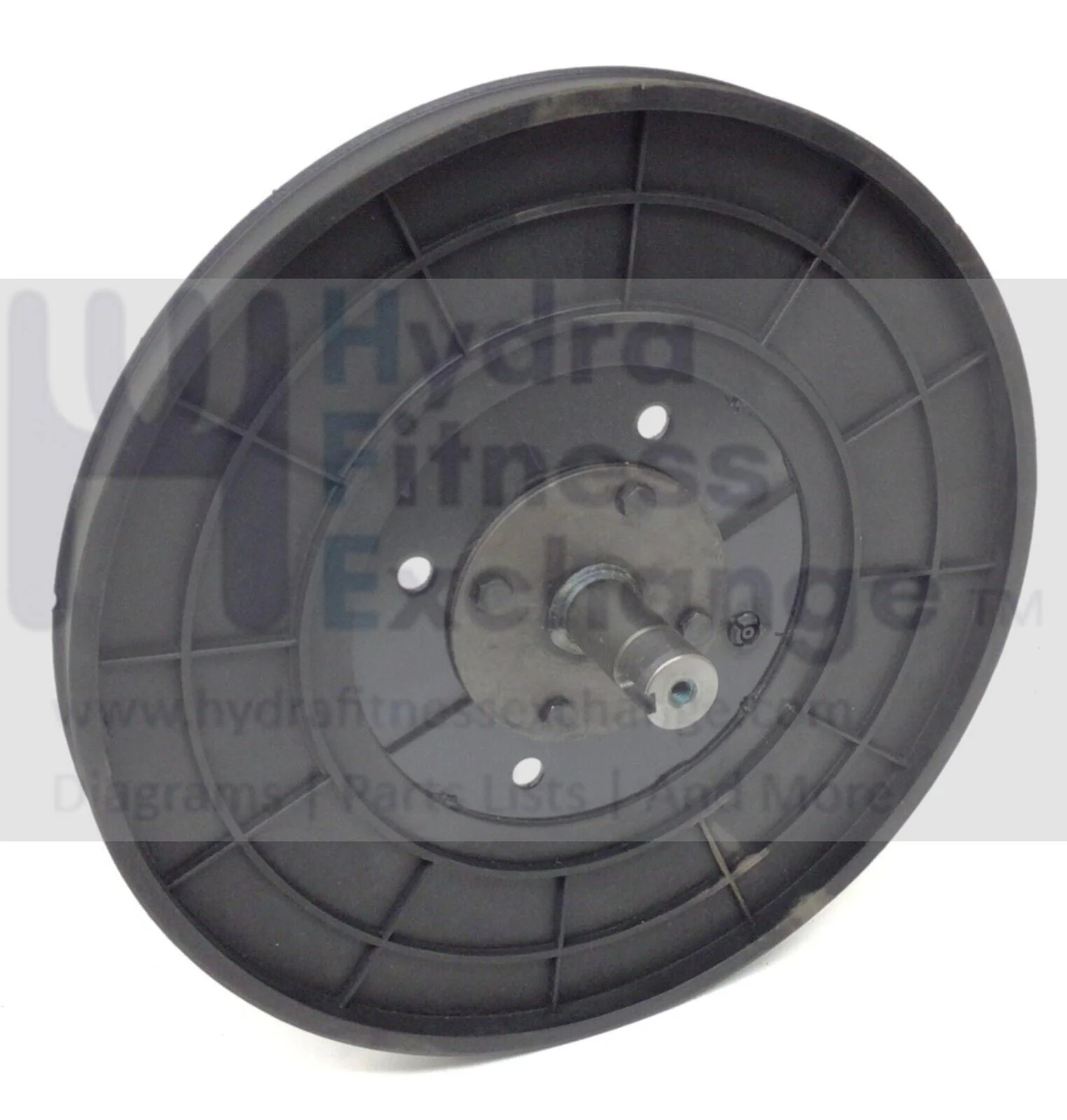 Spirit Sole Xterra Elliptical Crank Axle with Drive Pulley C140024 & P060090-A1