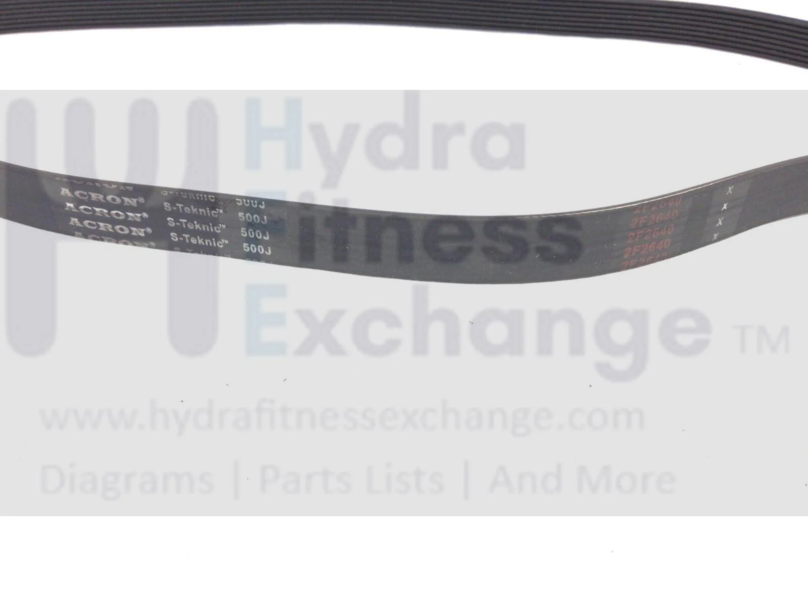 Spirit Sole Xterra Fitness Elliptical Pulley Drive Belt 50" N010002 - Image 2