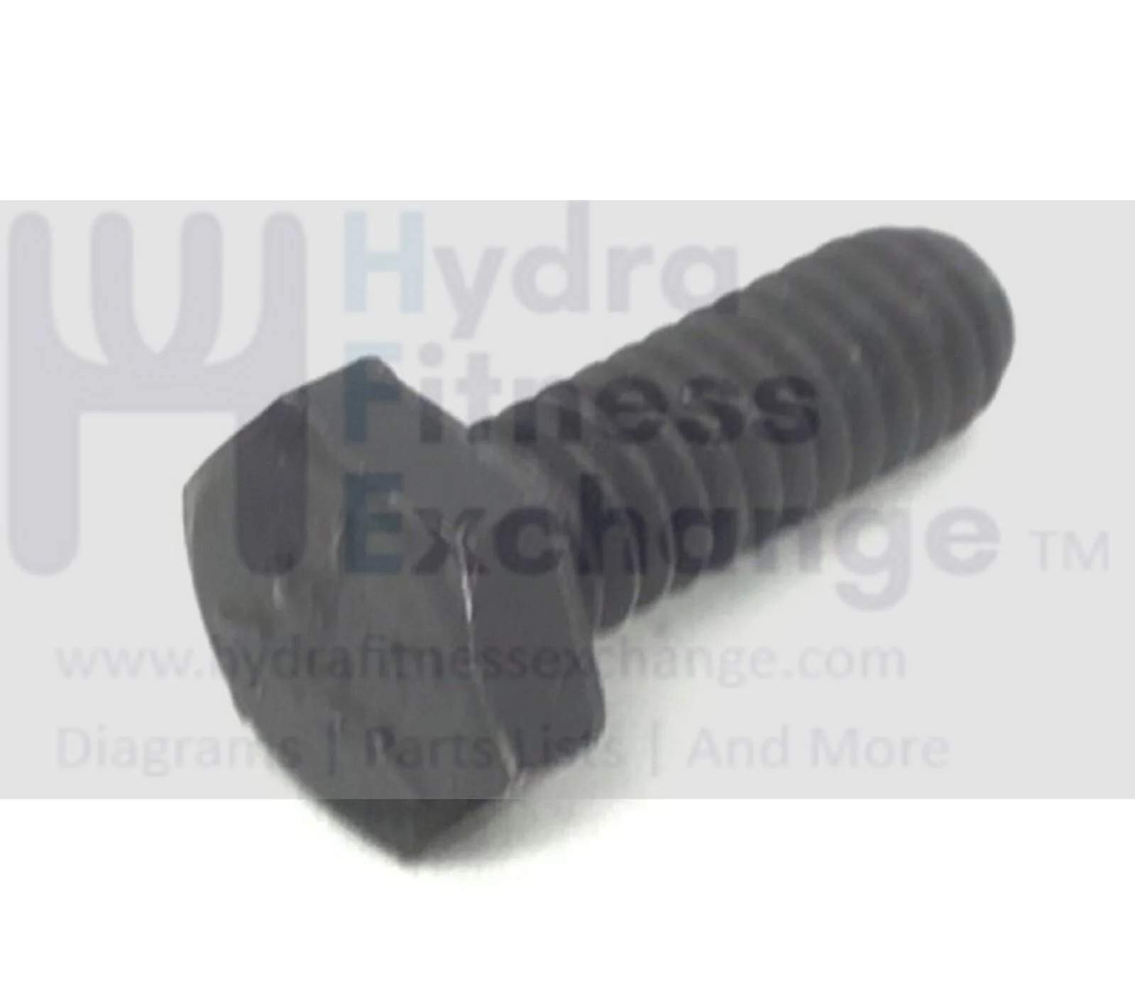 Spirit Xterra Sole Fitness Elliptical Hex Bolt 1/4"-20 x3/4" J010002-ZZ