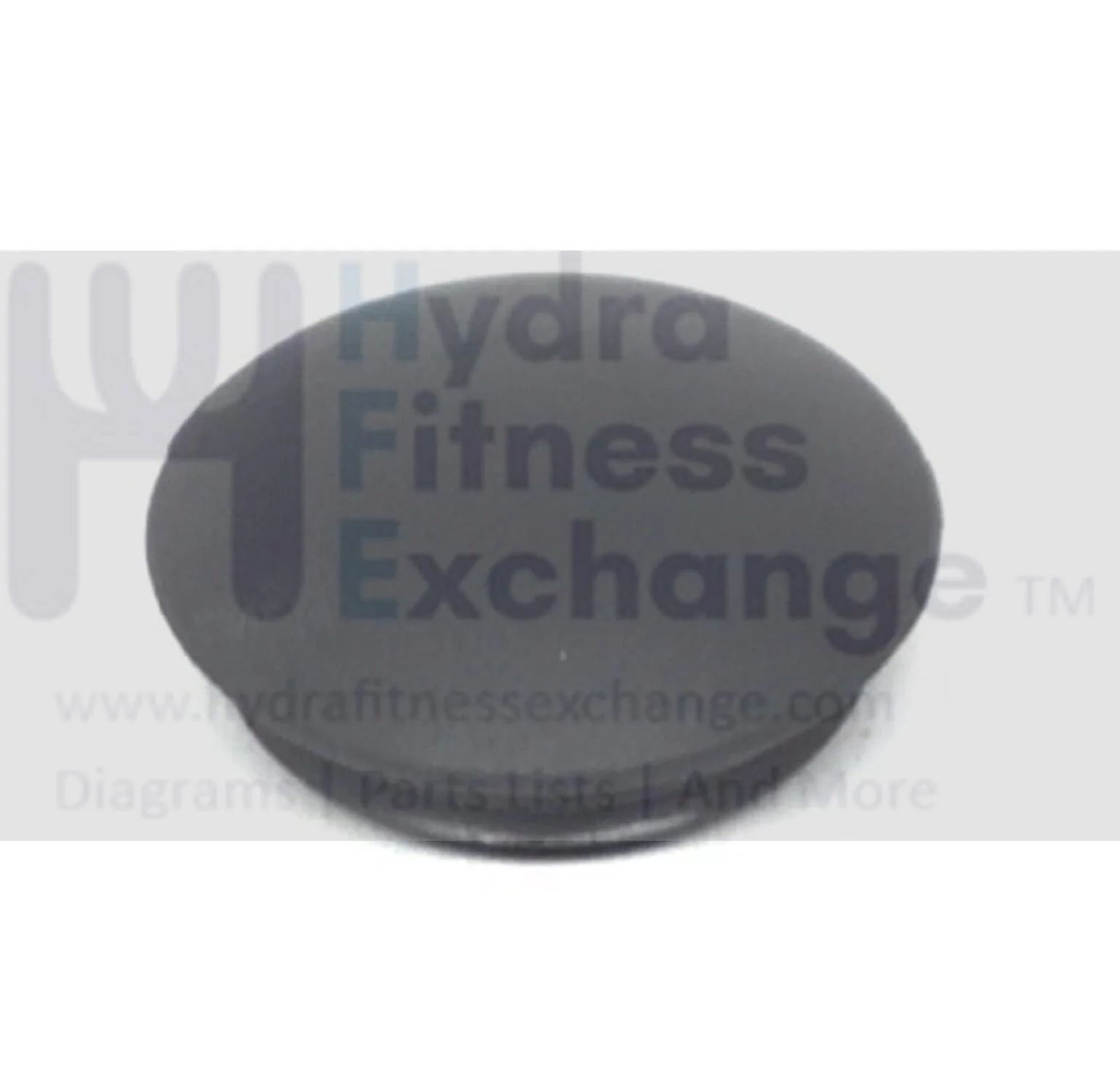 SportsArt 5002 Recumbent Bike Crank Arm Cap 5002-CAC