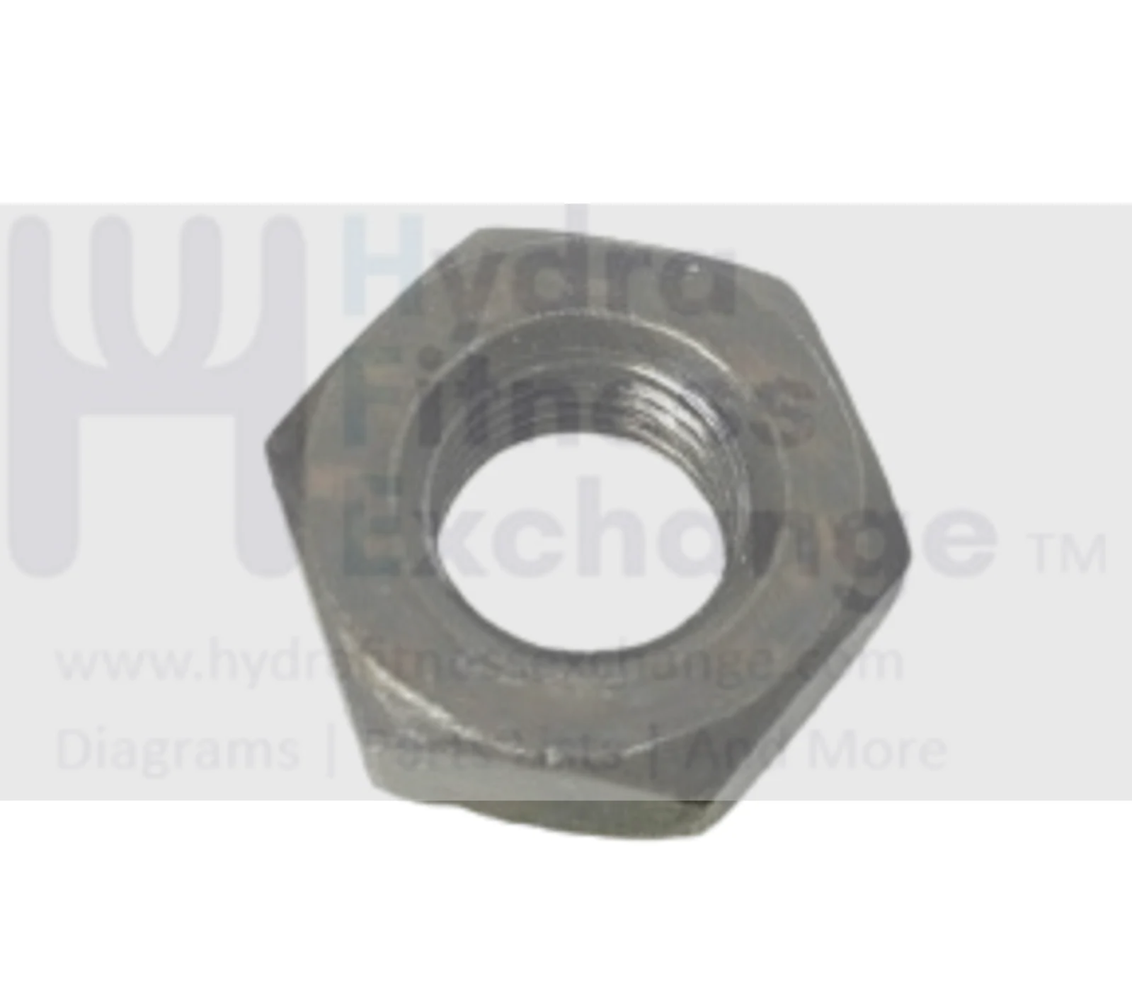 SportsArt 803P Elliptical Flywheel Hex Nut