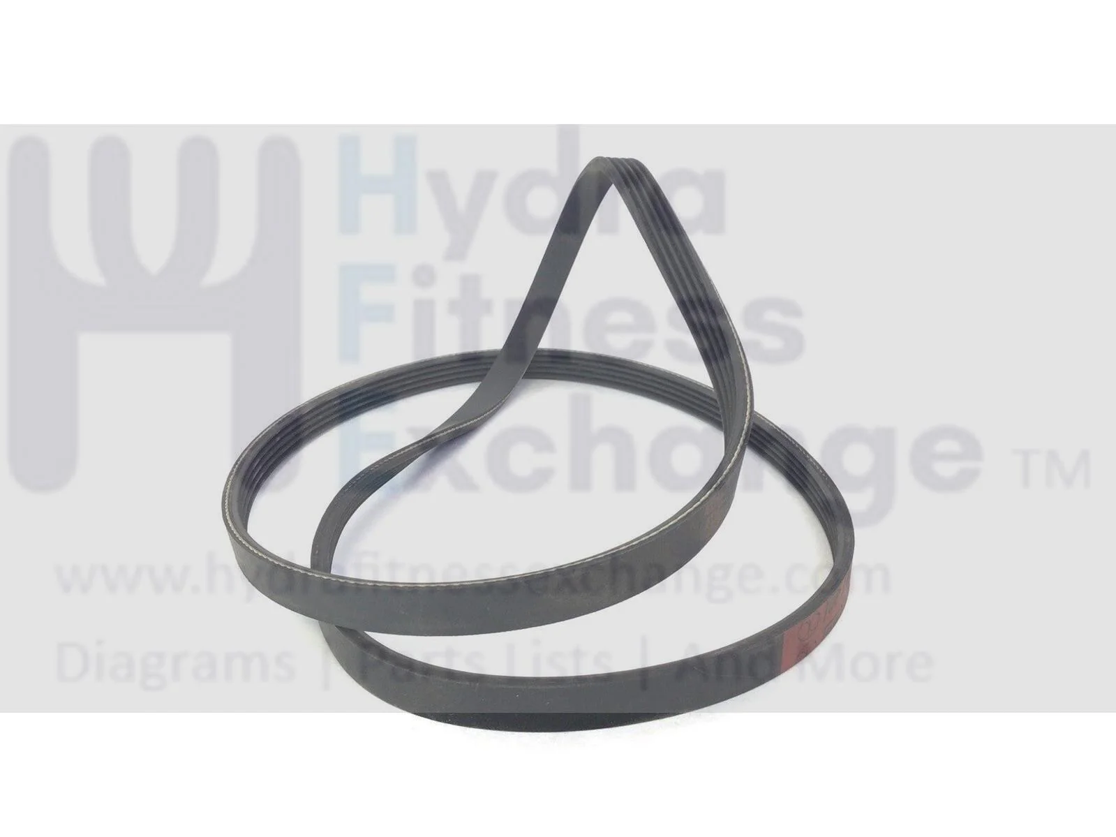 Sportsart E8300 - 8300 Elliptical Generator Drive Belt 8300-59 - Image 2