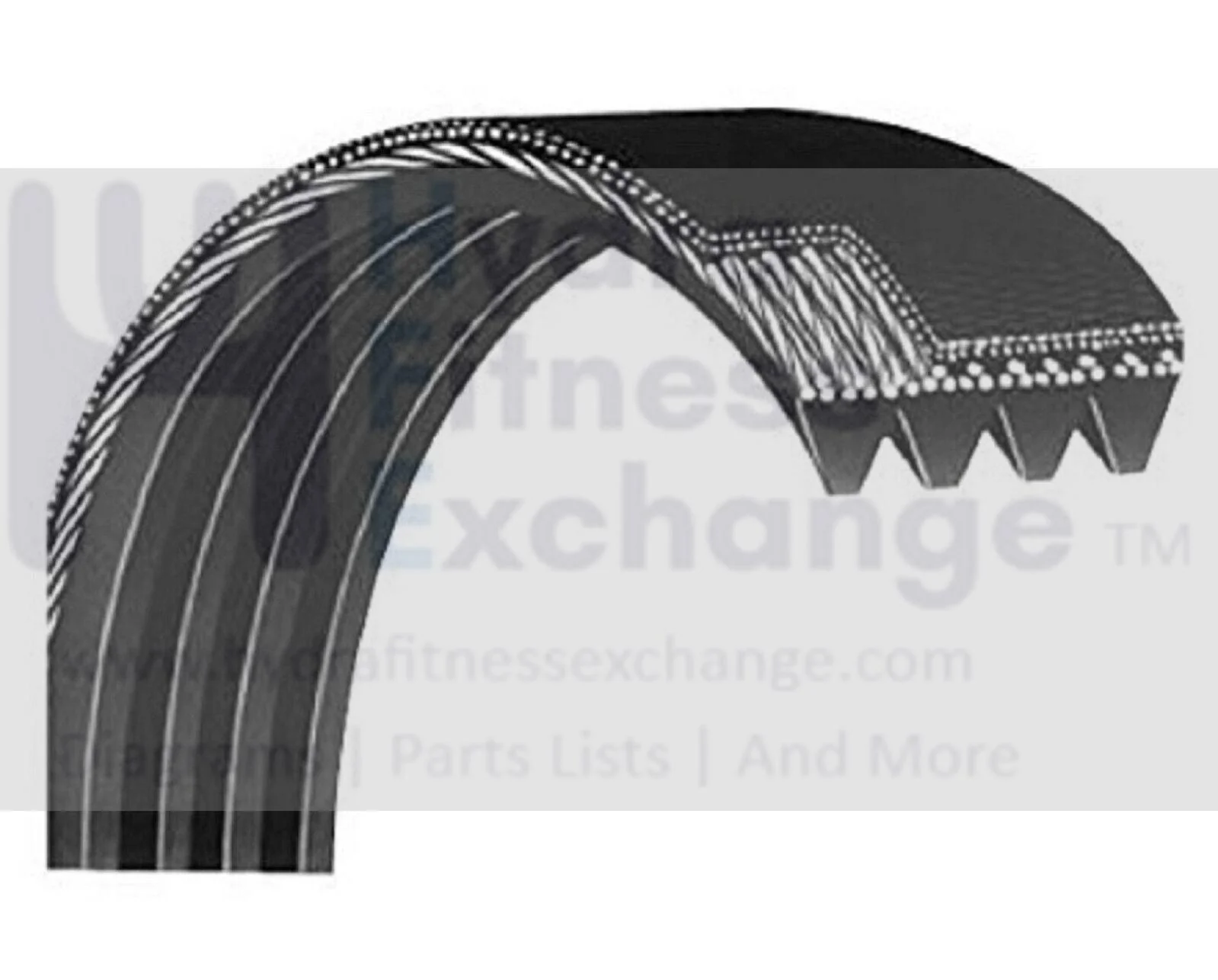 SportsArt T630 T650 T650M T650ME T652 T652M Treadmill Pulley Drive Belt T630-06