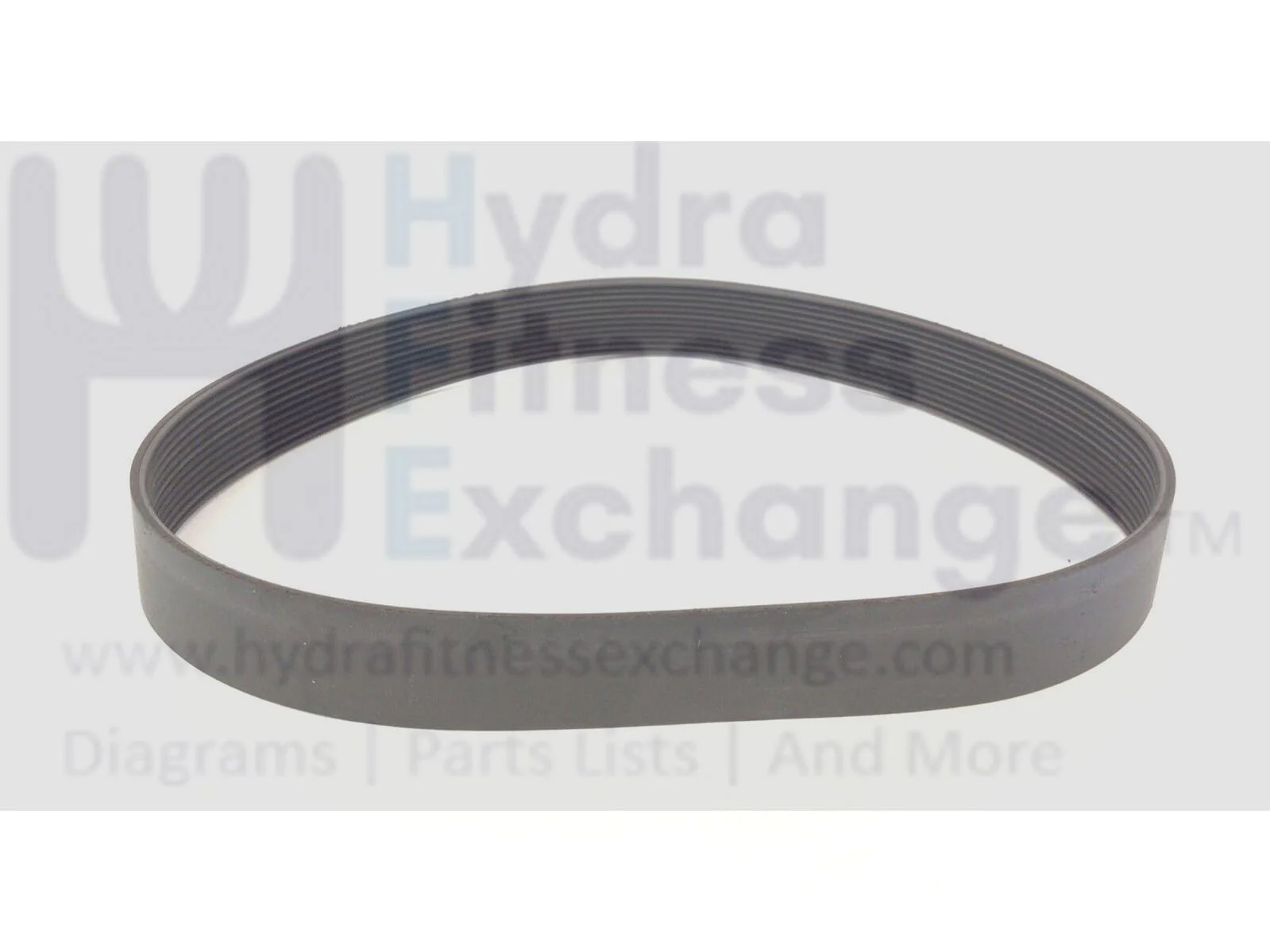 SportsArt T630 T650 T652 Treadmill Flexonic Motor Drive Belt MFR-P692J10 T630-06 - Image 2